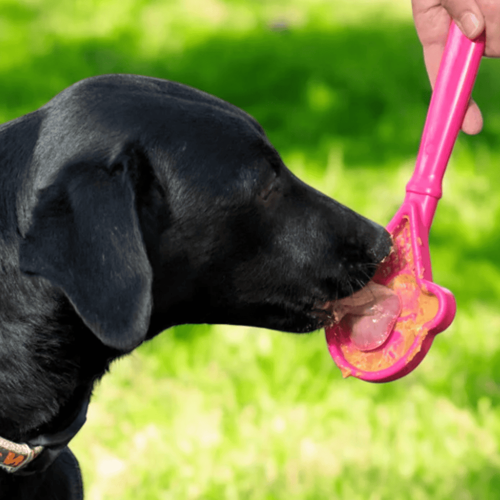 Lick Sticks | Interactive Dog Training Toy - Elite Pet Collective