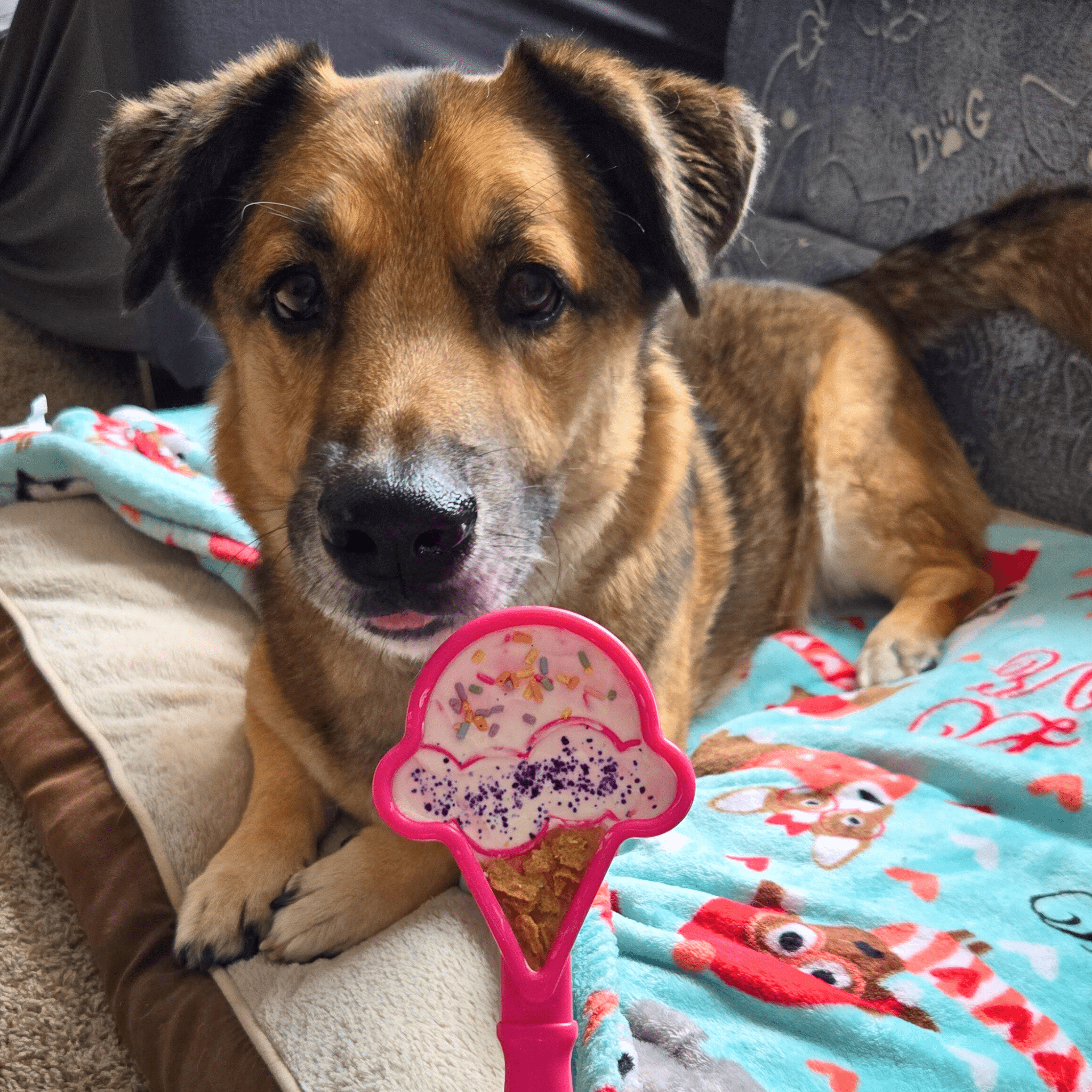 Lick Sticks | Interactive Dog Training Toy - Elite Pet Collective