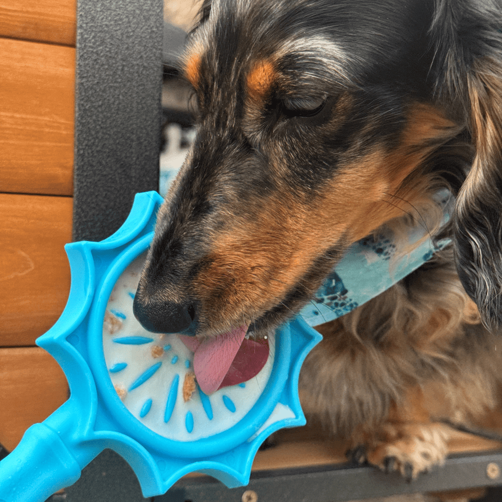 Lick Sticks | Interactive Dog Training Toy - Elite Pet Collective