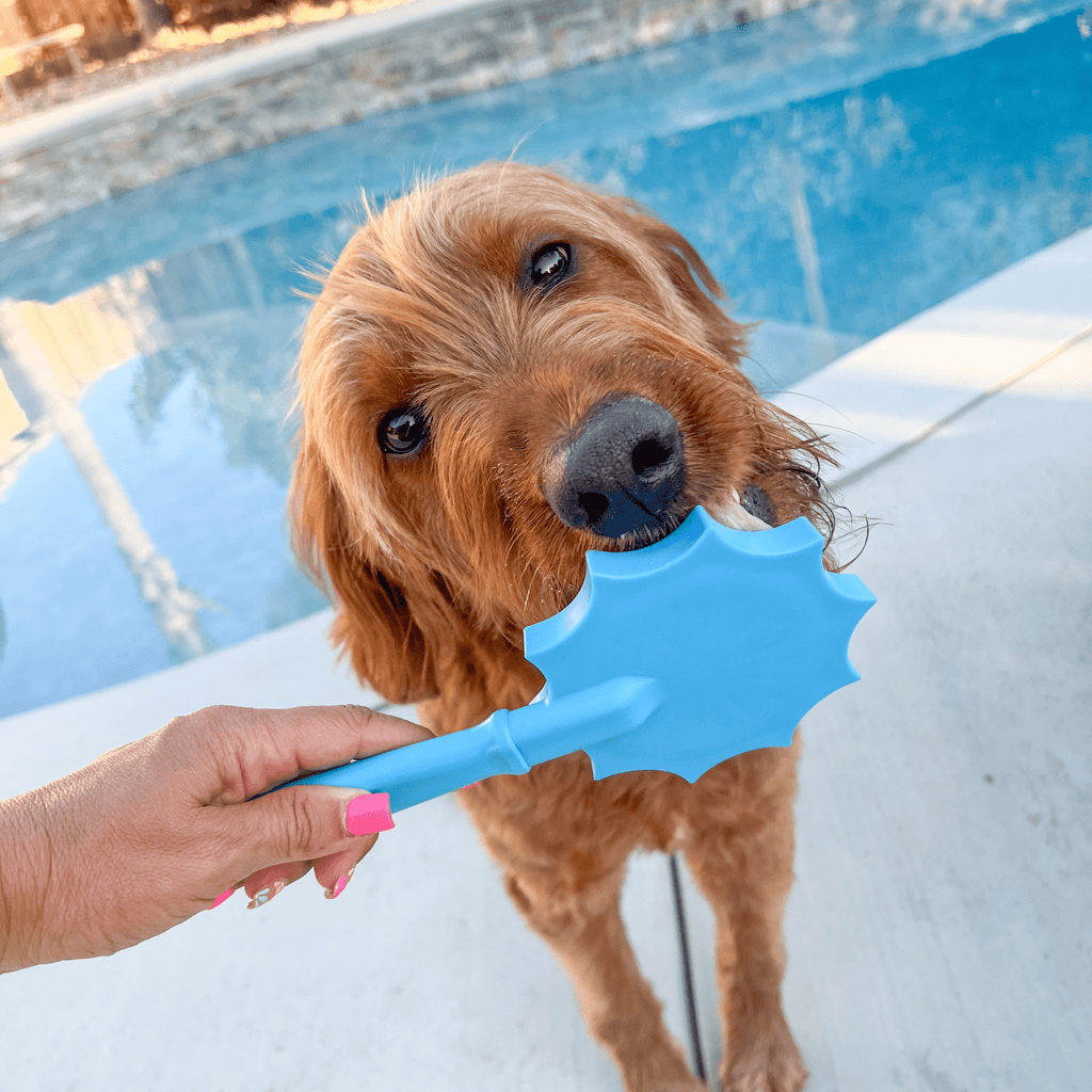 Lick Sticks | Interactive Dog Training Toy - Elite Pet Collective