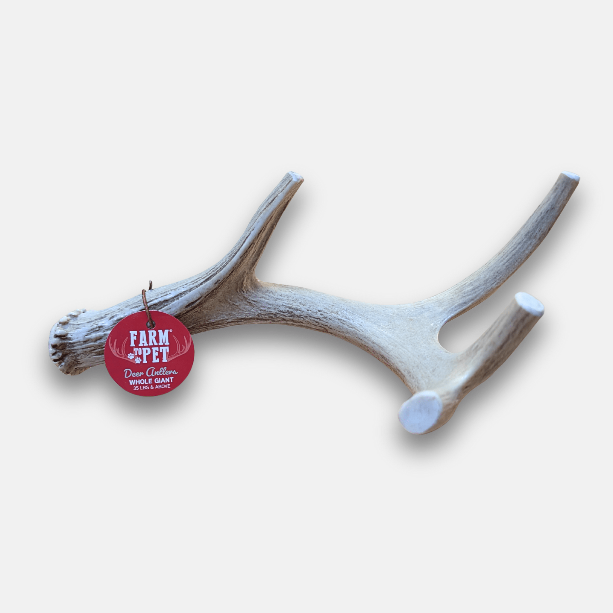 Deer Antler Dog Chews | Organic Chews for Dogs - Elite Pet Collective