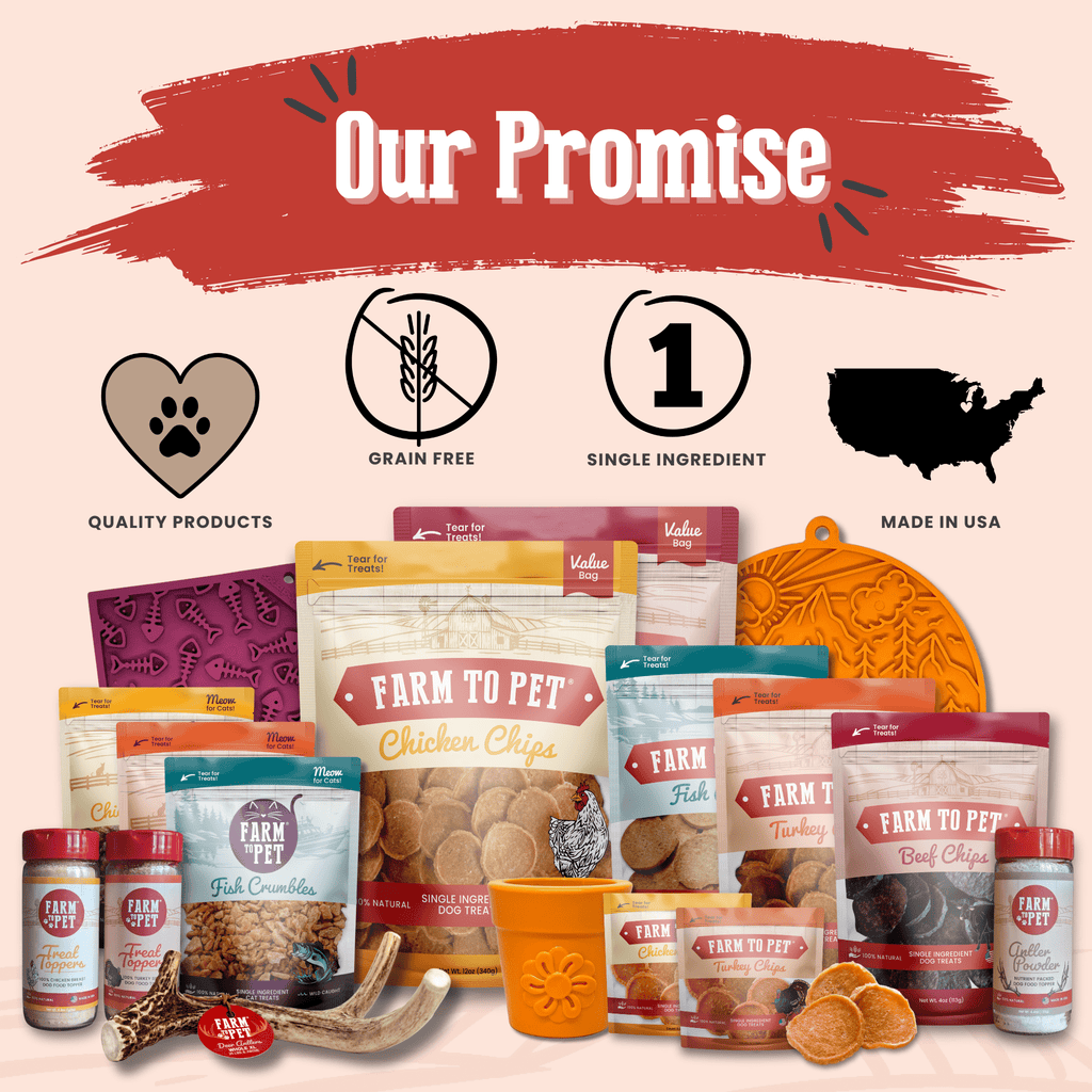 Turkey Feast Chips for Dogs - Elite Pet Collective