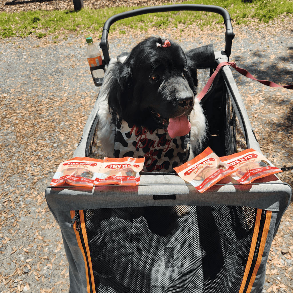 Turkey Chips Snack Pack Bundles | Low Allergen Treats for Training - Elite Pet Collective
