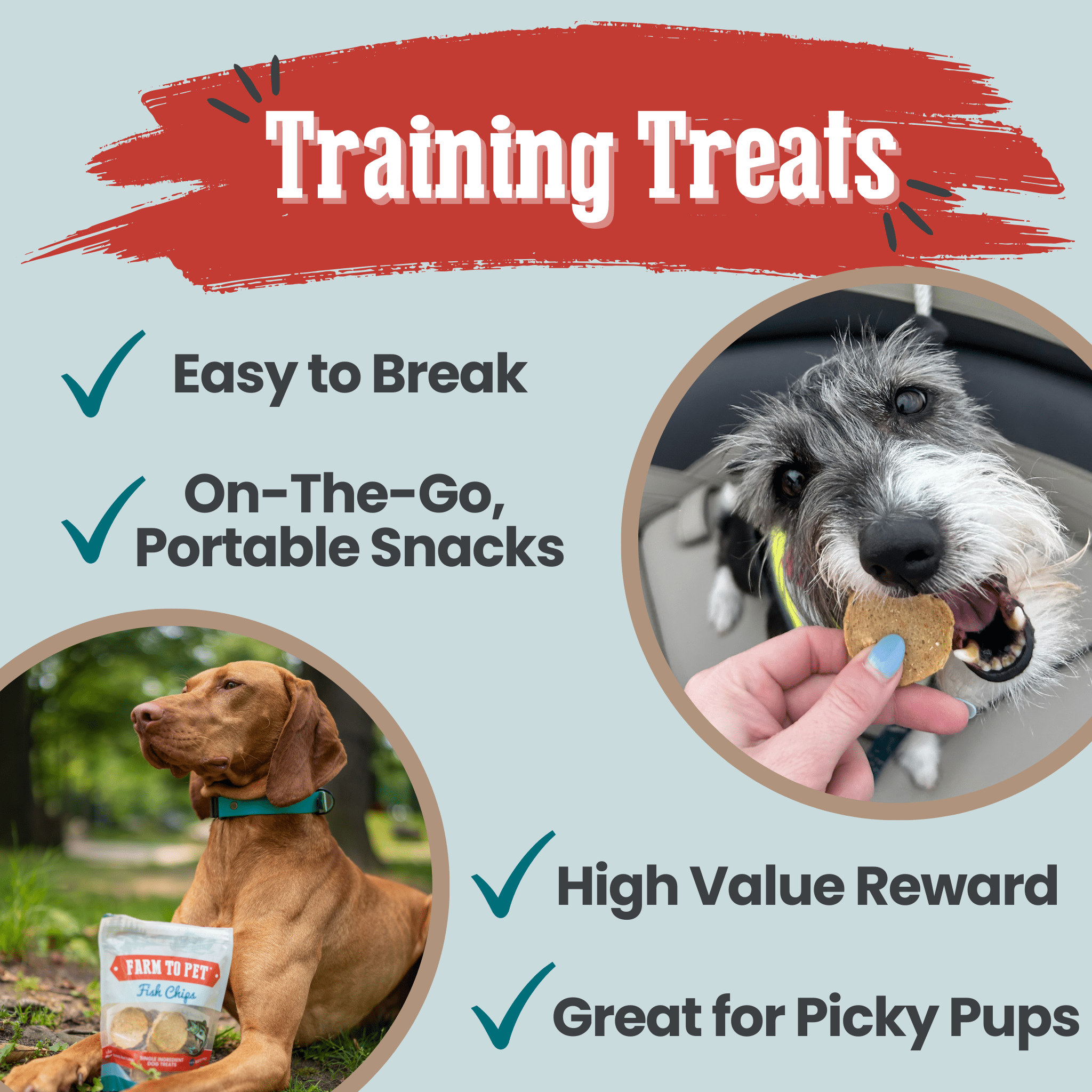 Fish Chips for Dogs | Wild-Caught Fish Dog Treats - Elite Pet Collective
