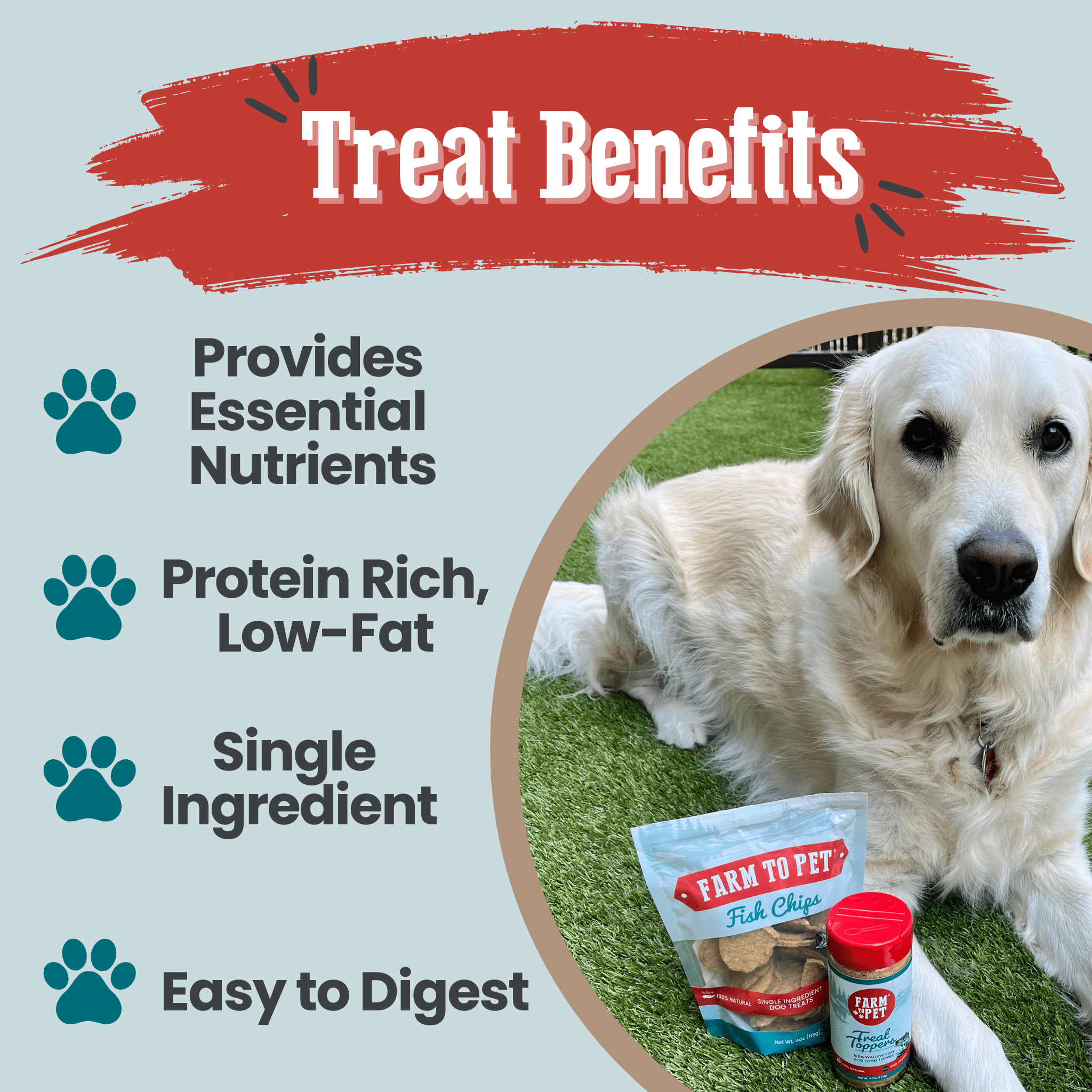 Fish Chips for Dogs | Wild-Caught Fish Dog Treats - Elite Pet Collective
