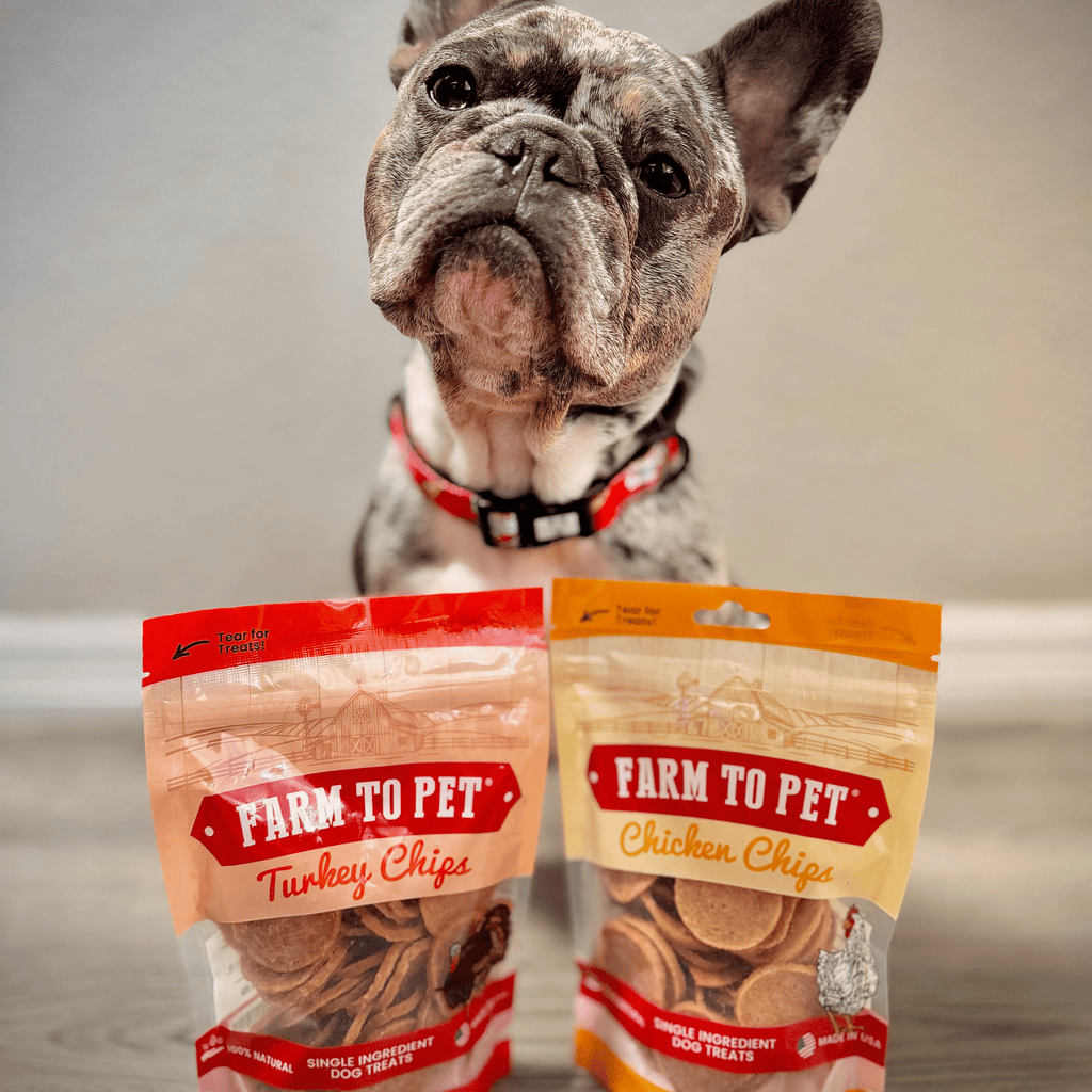 Turkey & Chicken Chips for Dogs Treat Duo | Single-Ingredient Poultry Treats for Dogs - Elite Pet Collective