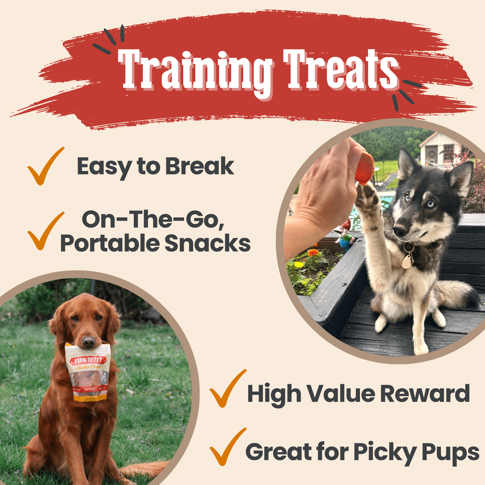 Turkey & Chicken Chips for Dogs Treat Duo | Single-Ingredient Poultry Treats for Dogs - Elite Pet Collective