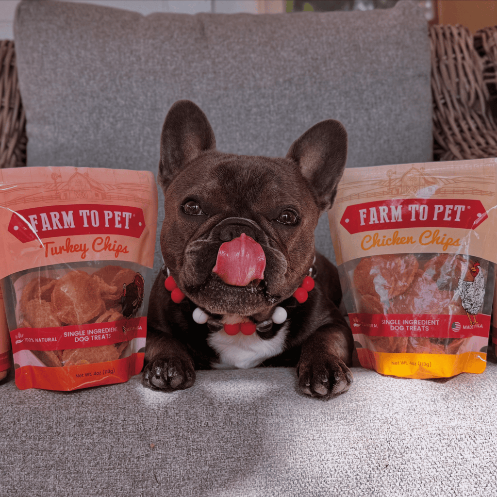 Turkey & Chicken Chips for Dogs Treat Duo | Single-Ingredient Poultry Treats for Dogs - Elite Pet Collective