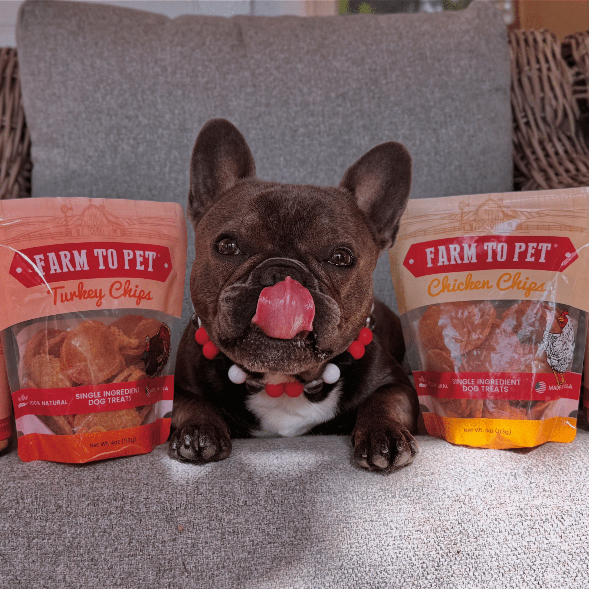 Turkey & Chicken Chips for Dogs Treat Duo | Single-Ingredient Poultry Treats for Dogs - Elite Pet Collective