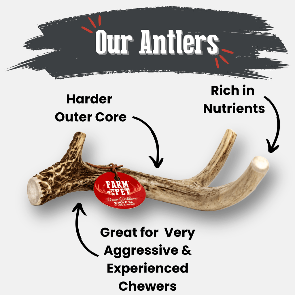 Deer Antler Dog Chews | Organic Chews for Dogs - Elite Pet Collective