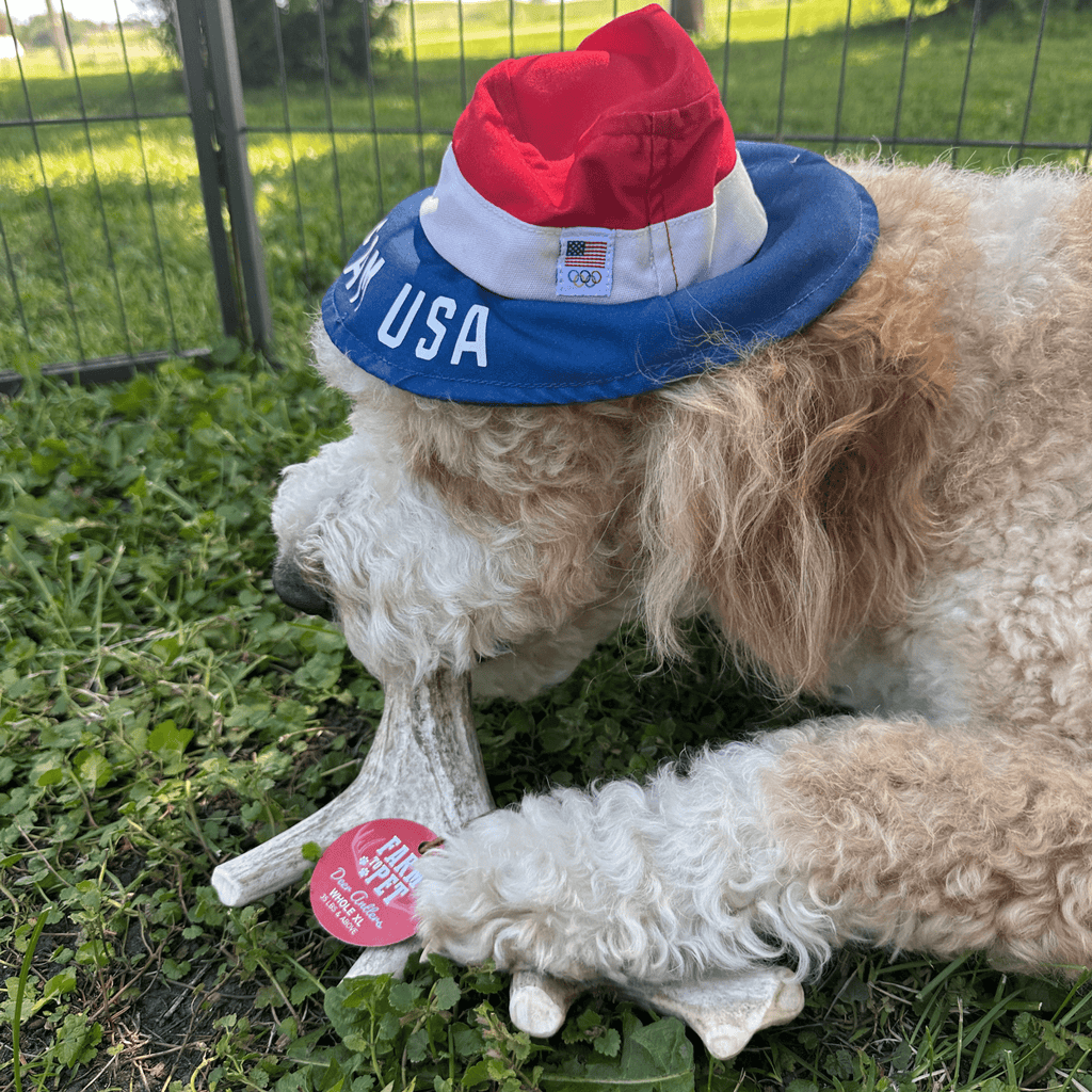 Deer Antler Dog Chews | Organic Chews for Dogs - Elite Pet Collective
