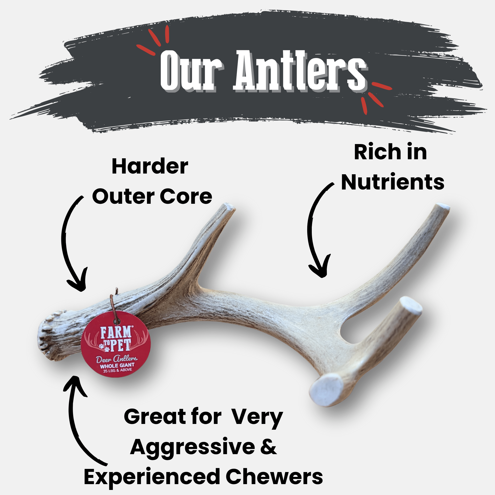 Deer Antler Dog Chews | Organic Chews for Dogs - Elite Pet Collective
