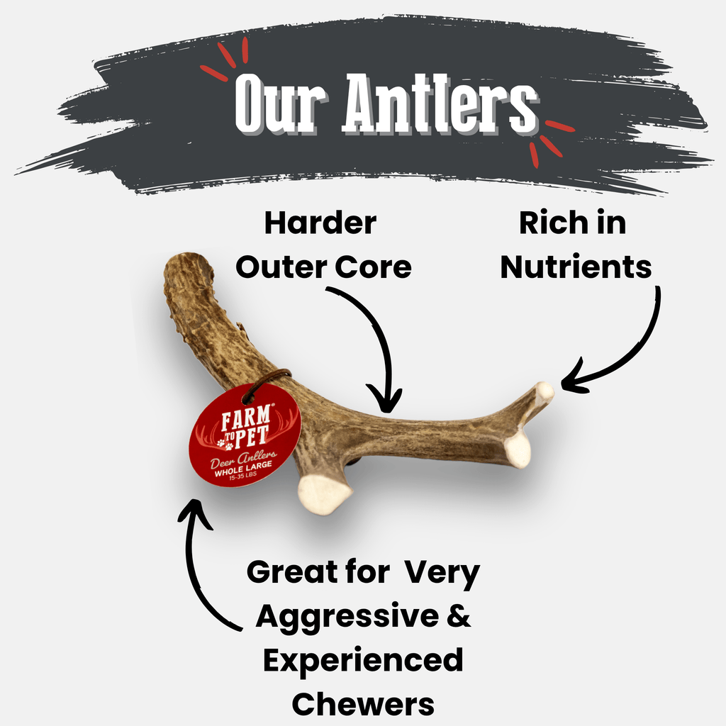 Deer Antler Dog Chews | Organic Chews for Dogs - Elite Pet Collective