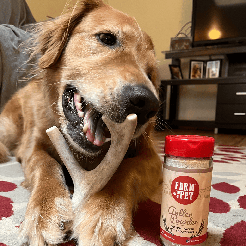 Deer Antler Dog Chews | Organic Chews for Dogs - Elite Pet Collective