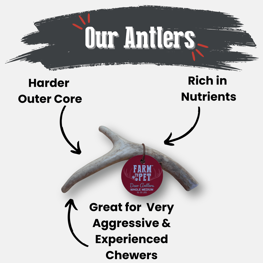 Deer Antler Dog Chews | Organic Chews for Dogs - Elite Pet Collective