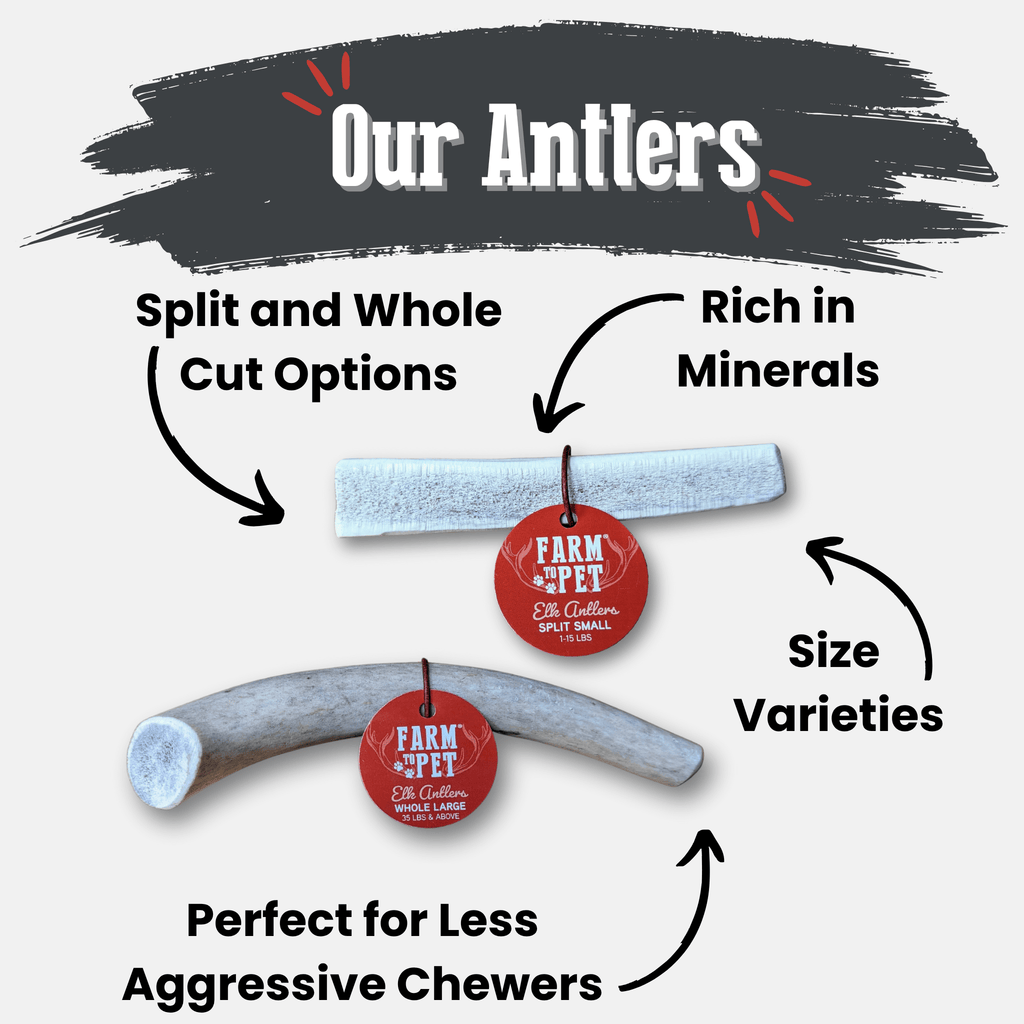 Elk Antler Dog Chews | All-Natural Whole and Split Elk Antler Chews for Dogs - Elite Pet Collective