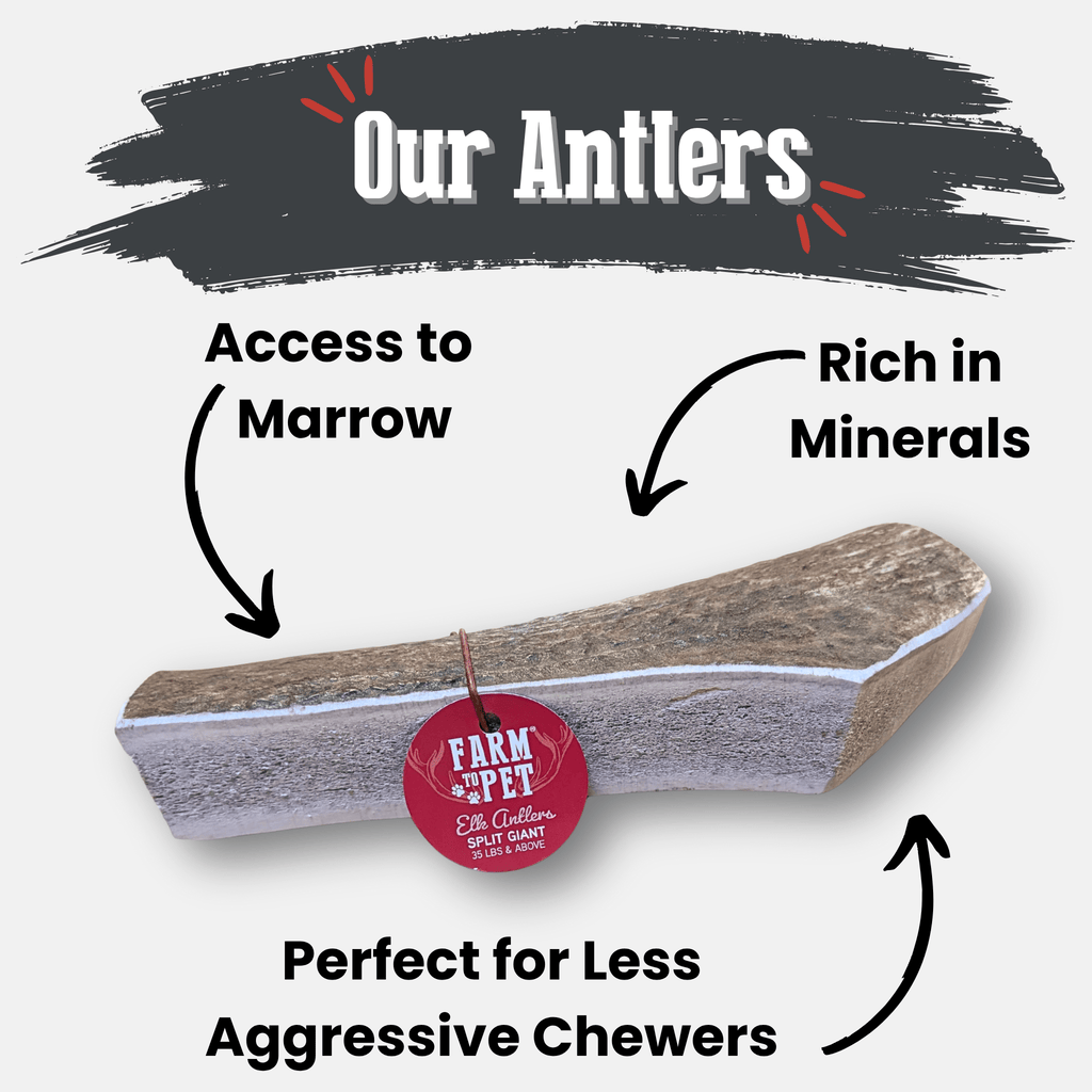 Elk Antler Dog Chews | All-Natural Whole and Split Elk Antler Chews for Dogs - Elite Pet Collective