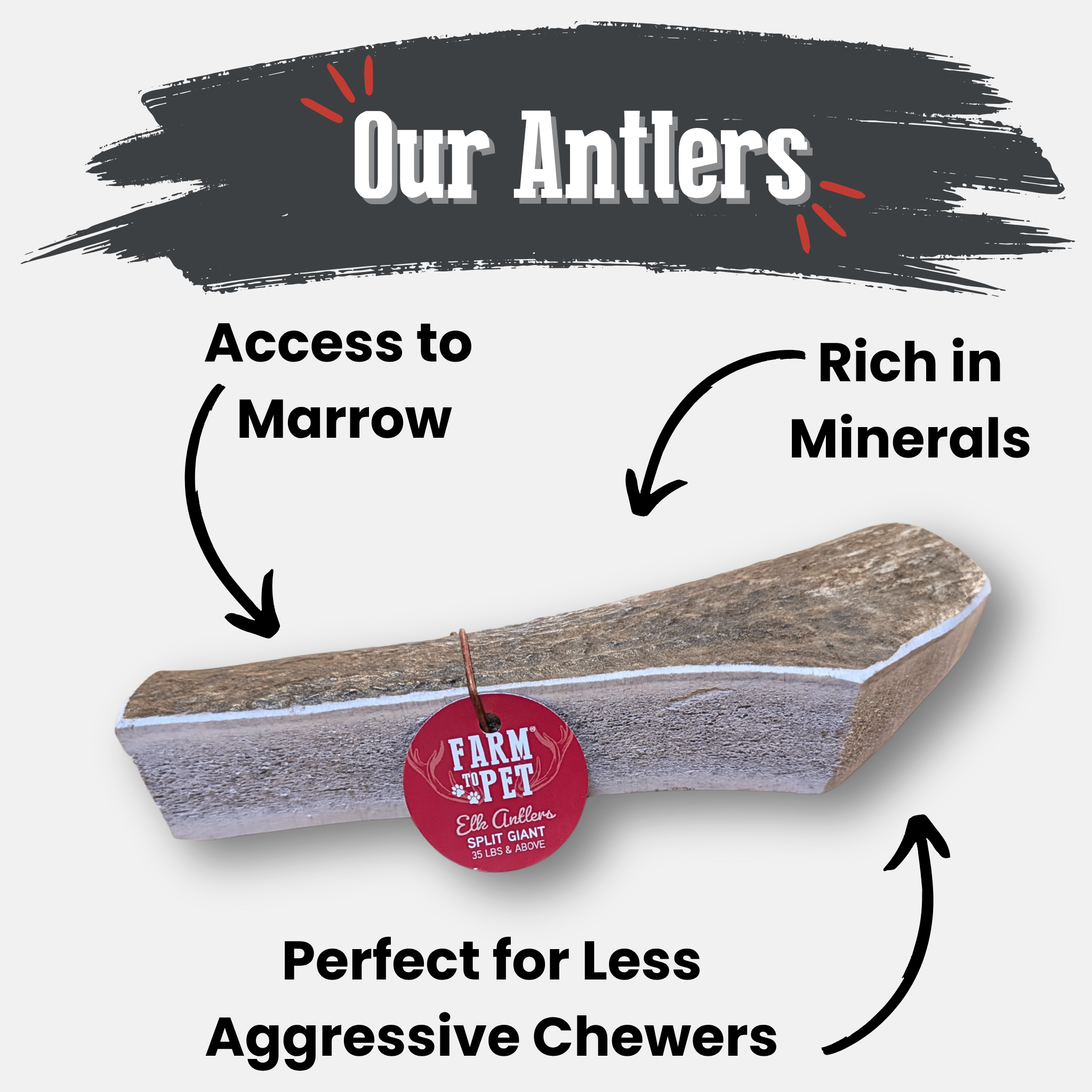 Elk Antler Dog Chews | All-Natural Whole and Split Elk Antler Chews for Dogs - Elite Pet Collective