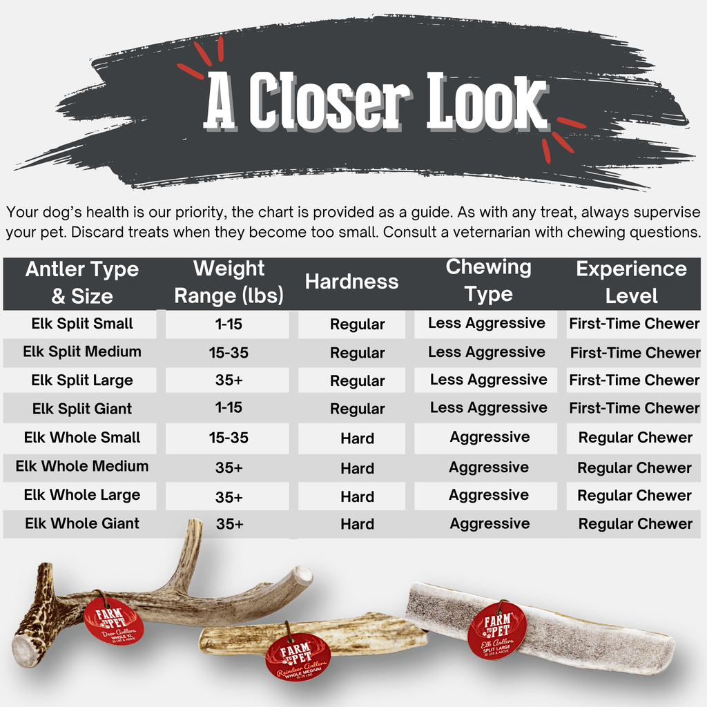 Elk Antler Dog Chews | All-Natural Whole and Split Elk Antler Chews for Dogs - Elite Pet Collective