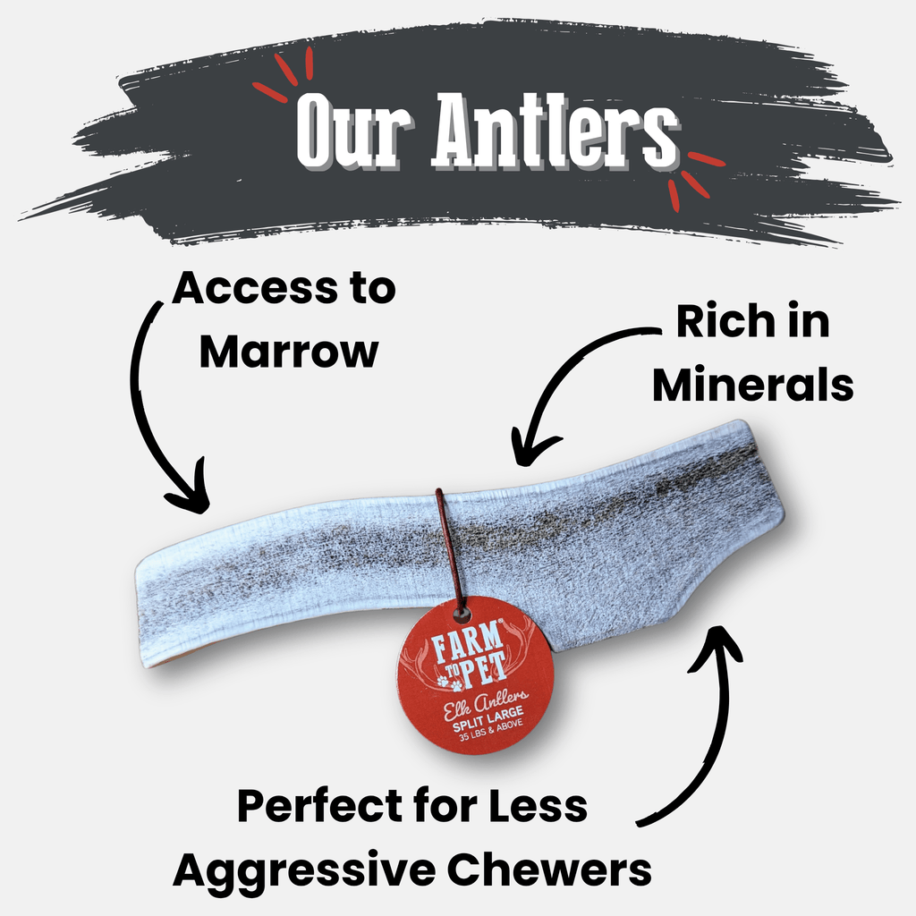Elk Antler Dog Chews | All-Natural Whole and Split Elk Antler Chews for Dogs - Elite Pet Collective