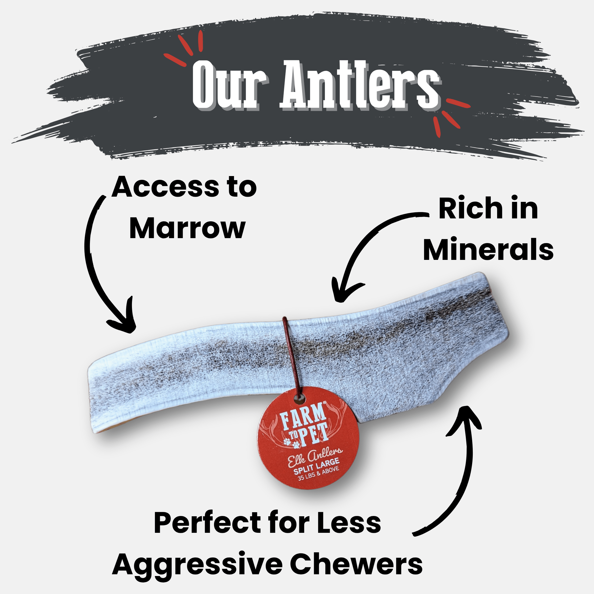Elk Antler Dog Chews | All-Natural Whole and Split Elk Antler Chews for Dogs - Elite Pet Collective