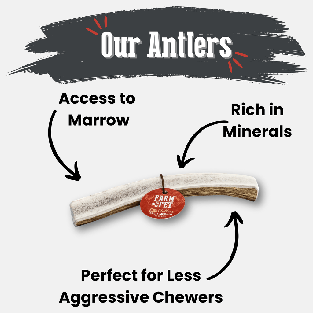 Elk Antler Dog Chews | All-Natural Whole and Split Elk Antler Chews for Dogs - Elite Pet Collective