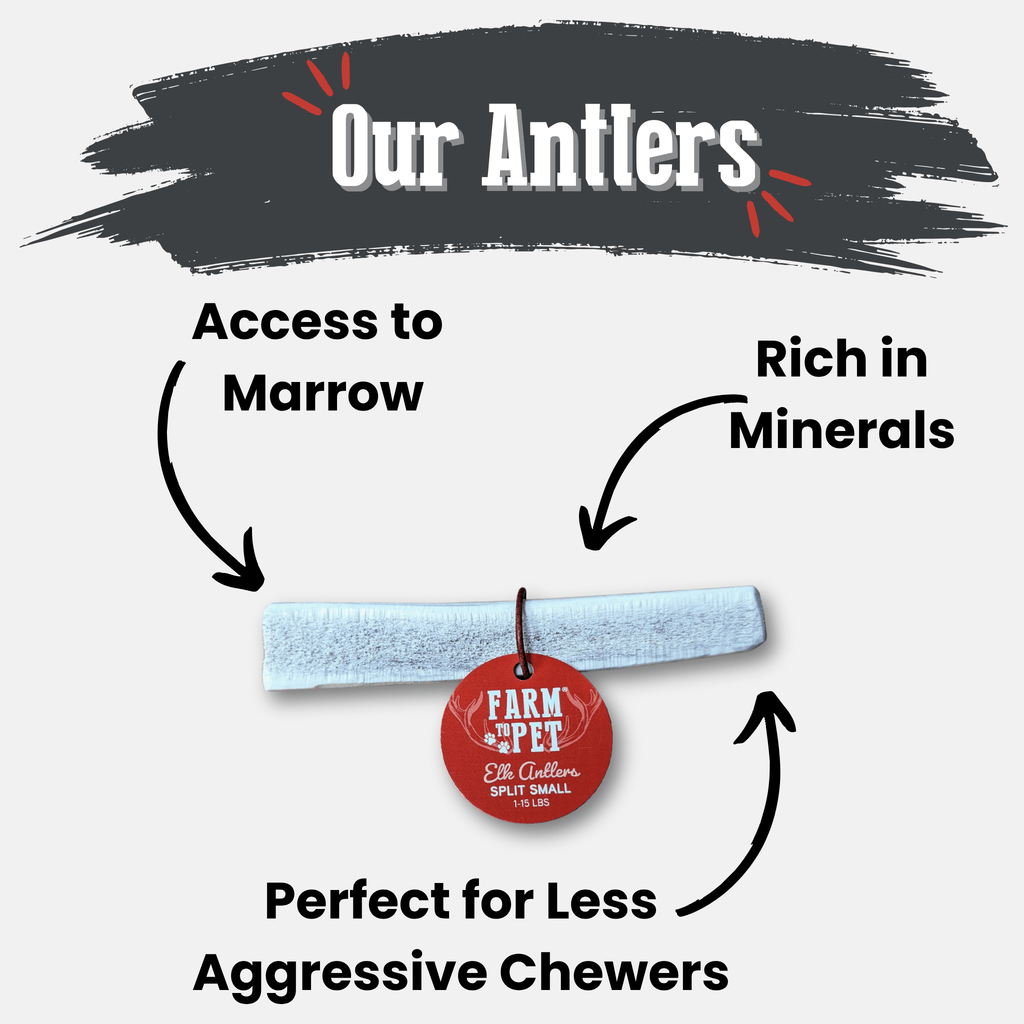 Elk Antler Dog Chews | All-Natural Whole and Split Elk Antler Chews for Dogs - Elite Pet Collective
