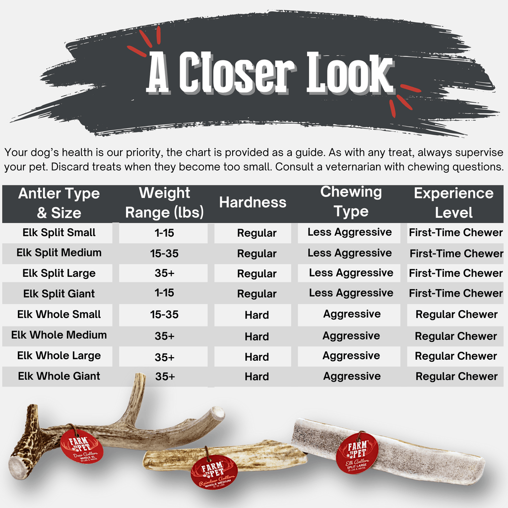 Elk Antler Dog Chews | All-Natural Whole and Split Elk Antler Chews for Dogs - Elite Pet Collective