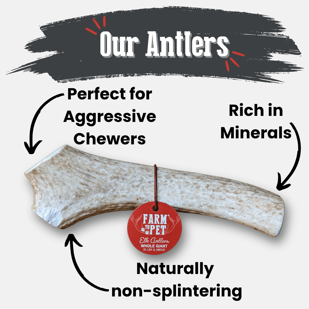Elk Antler Dog Chews | All-Natural Whole and Split Elk Antler Chews for Dogs - Elite Pet Collective