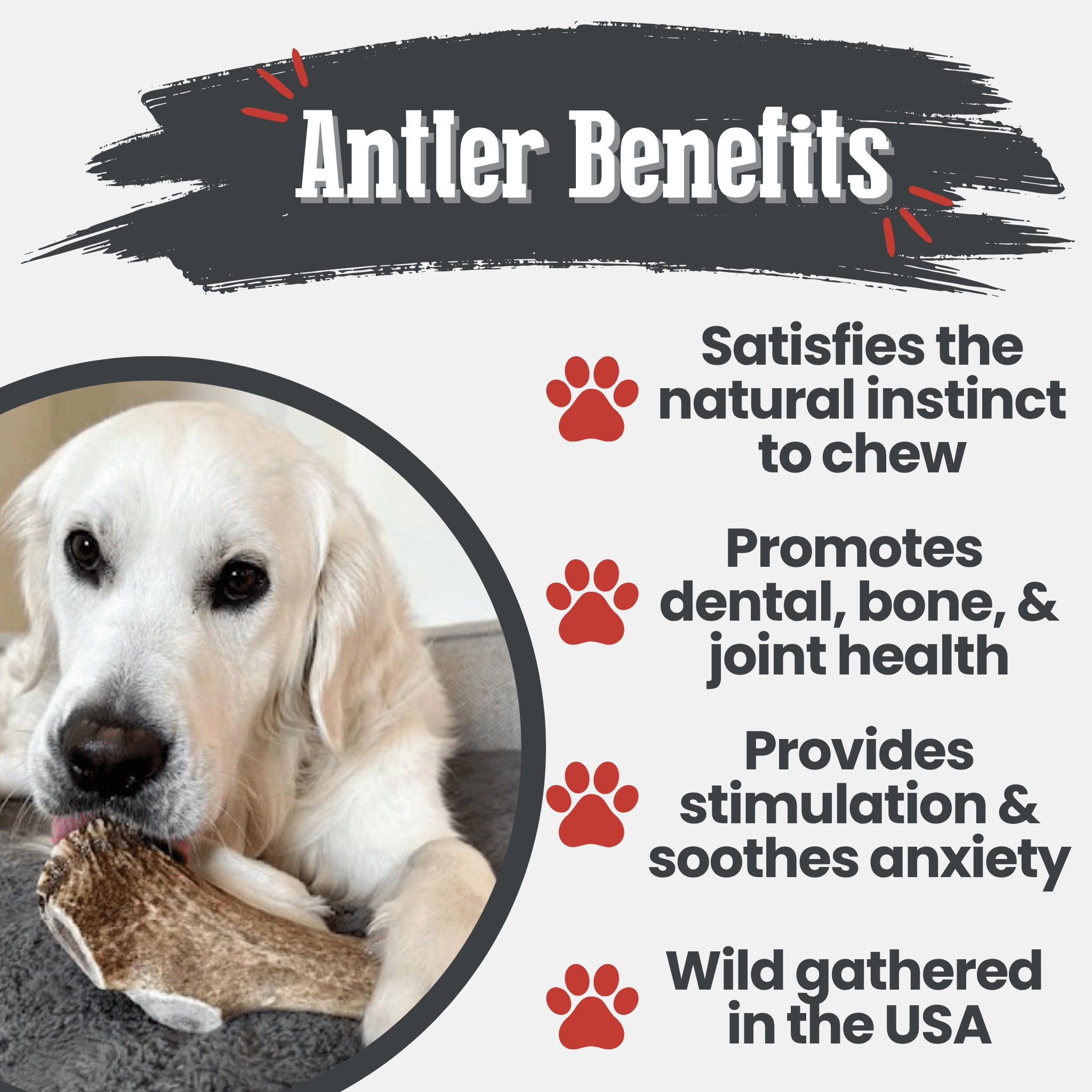 Elk Antler Dog Chews | All-Natural Whole and Split Elk Antler Chews for Dogs - Elite Pet Collective
