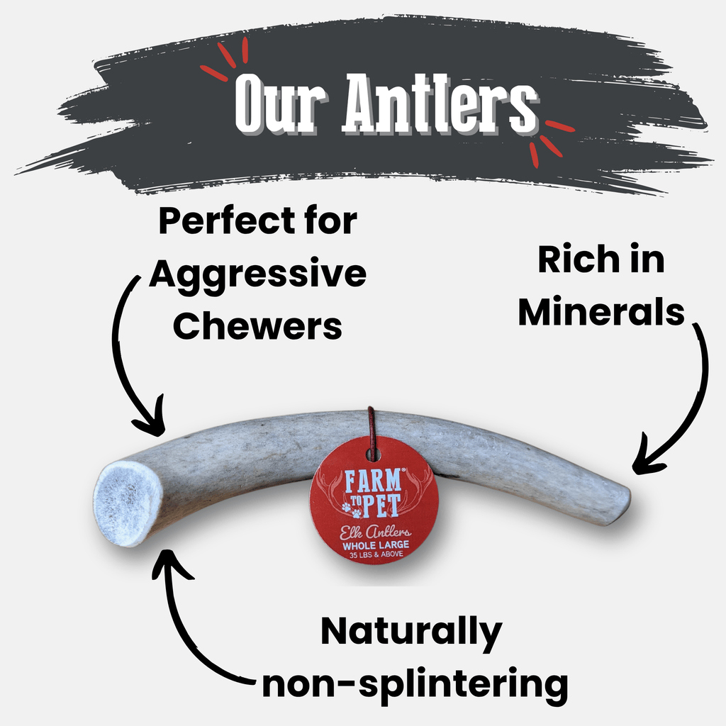 Elk Antler Dog Chews | All-Natural Whole and Split Elk Antler Chews for Dogs - Elite Pet Collective