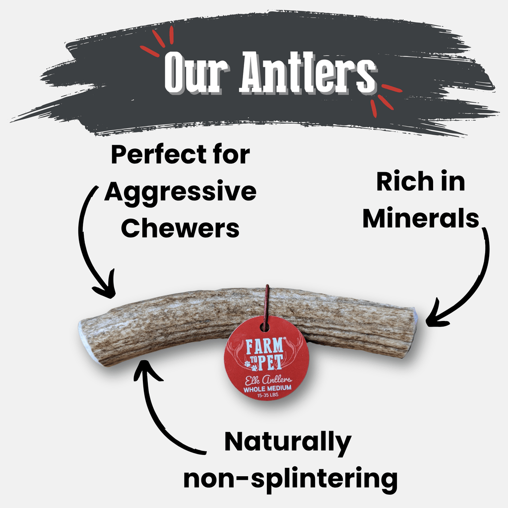 Elk Antler Dog Chews | All-Natural Whole and Split Elk Antler Chews for Dogs - Elite Pet Collective