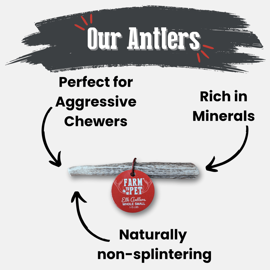 Elk Antler Dog Chews | All-Natural Whole and Split Elk Antler Chews for Dogs - Elite Pet Collective
