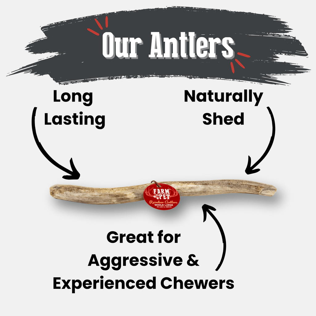 Reindeer Antler Dog Chews | Organic Chews for Dogs - Elite Pet Collective