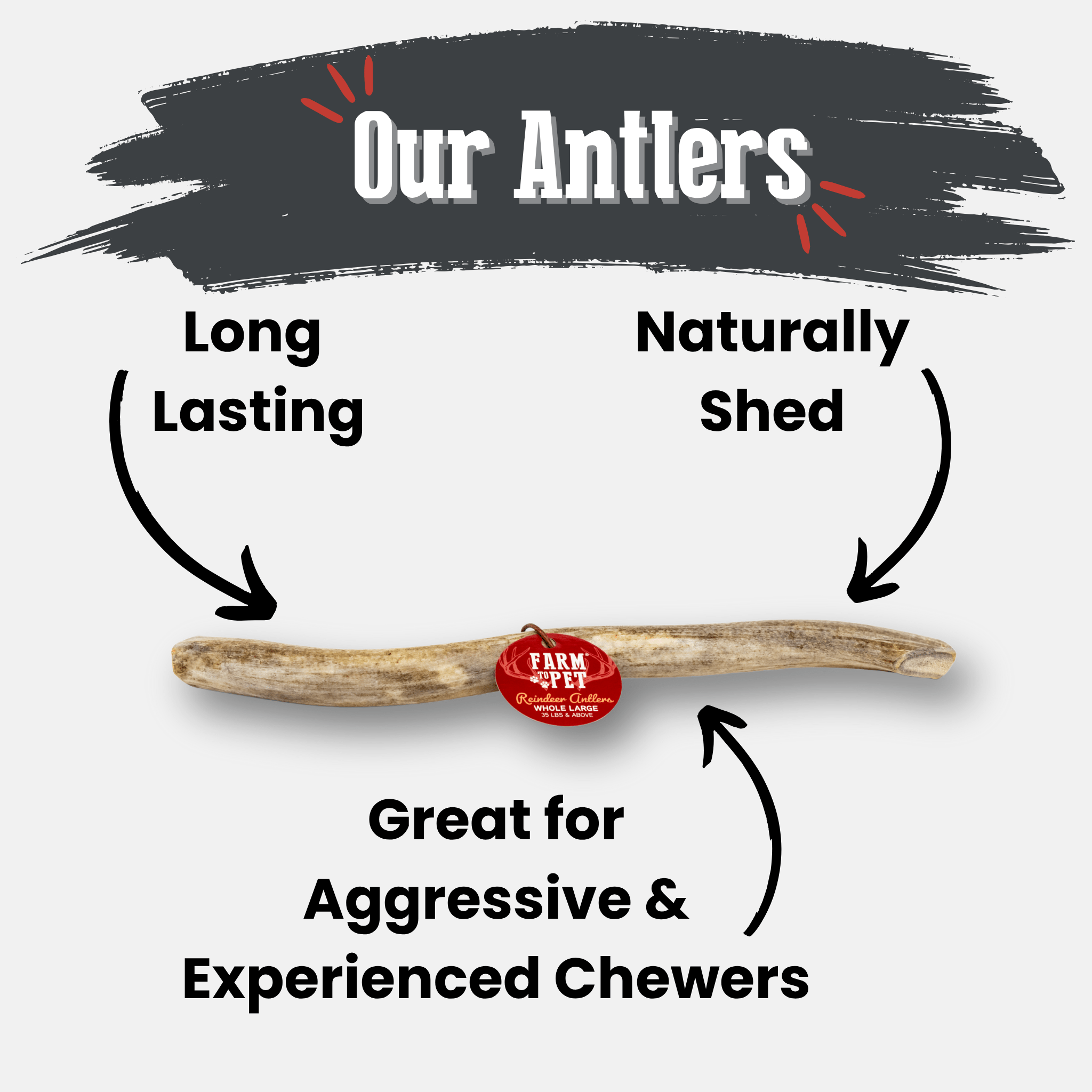 Reindeer Antler Dog Chews | Organic Chews for Dogs - Elite Pet Collective