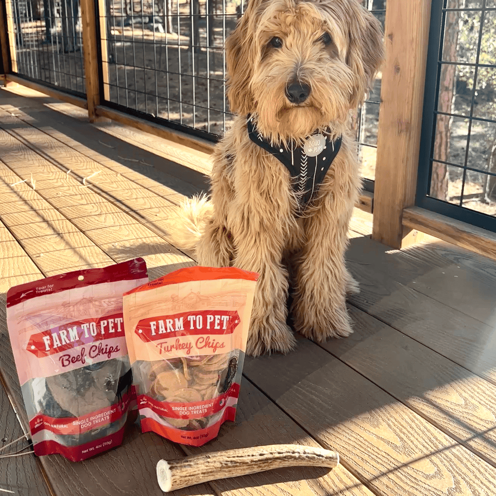 Reindeer Antler Dog Chews | Organic Chews for Dogs - Elite Pet Collective