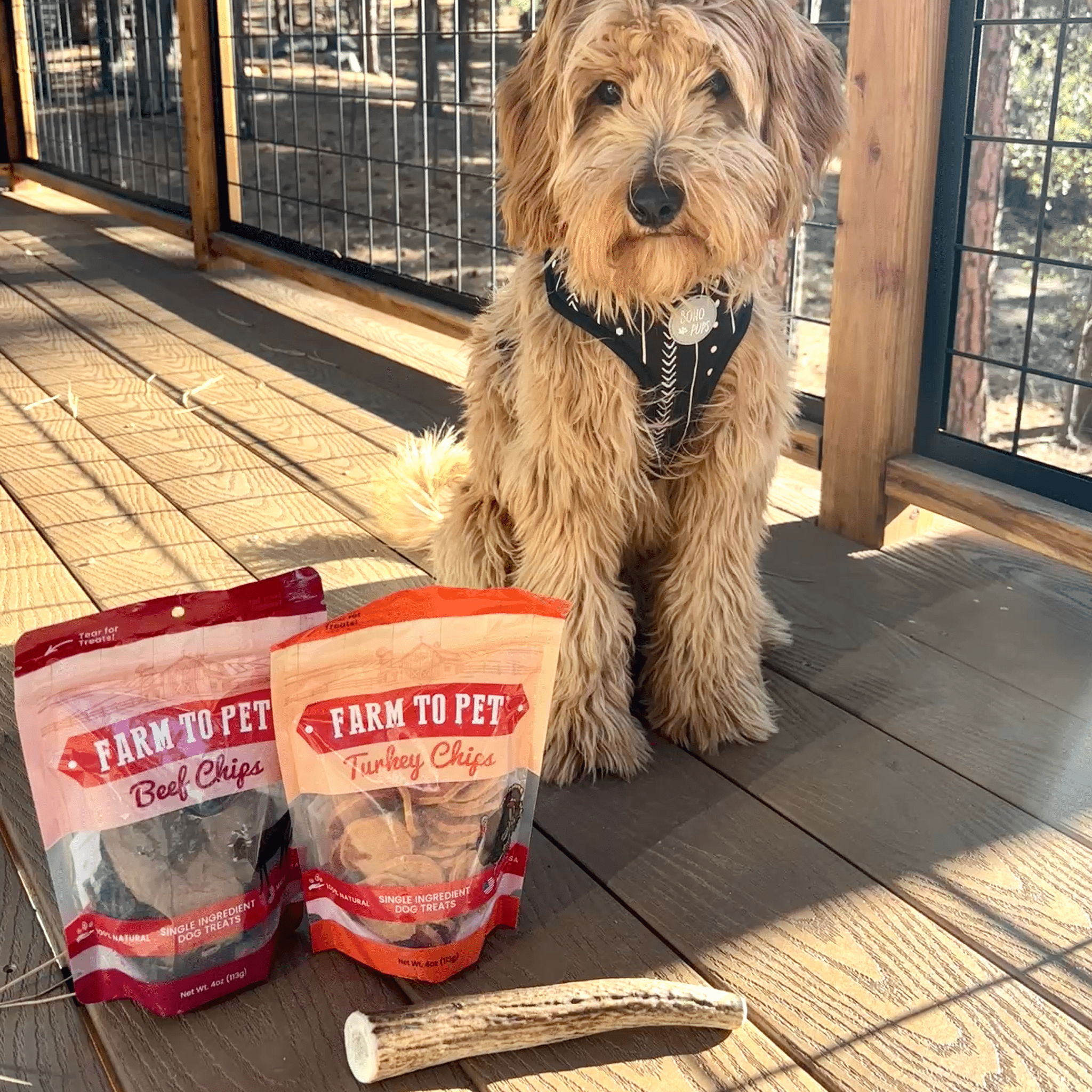 Reindeer Antler Dog Chews | Organic Chews for Dogs - Elite Pet Collective