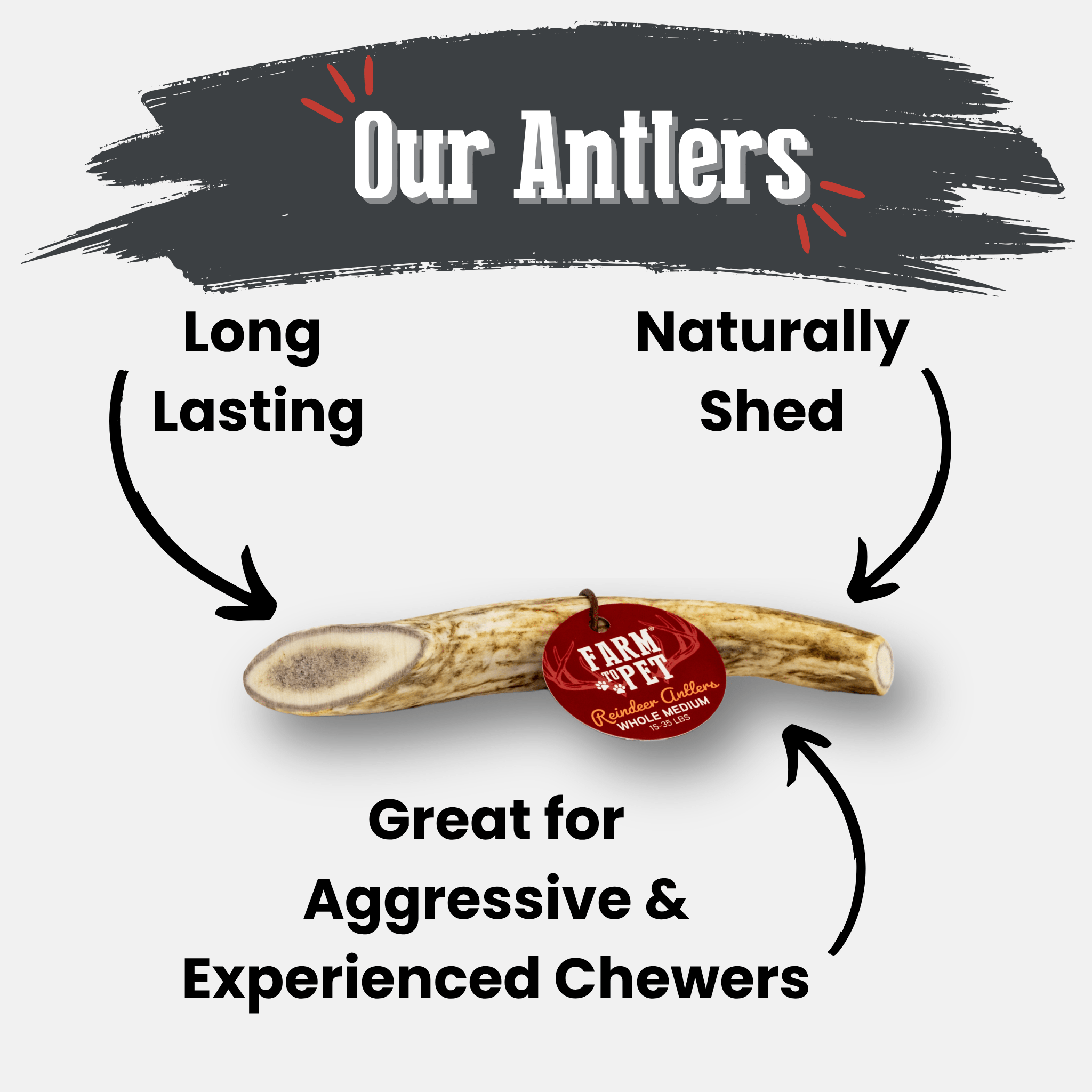 Reindeer Antler Dog Chews | Organic Chews for Dogs - Elite Pet Collective