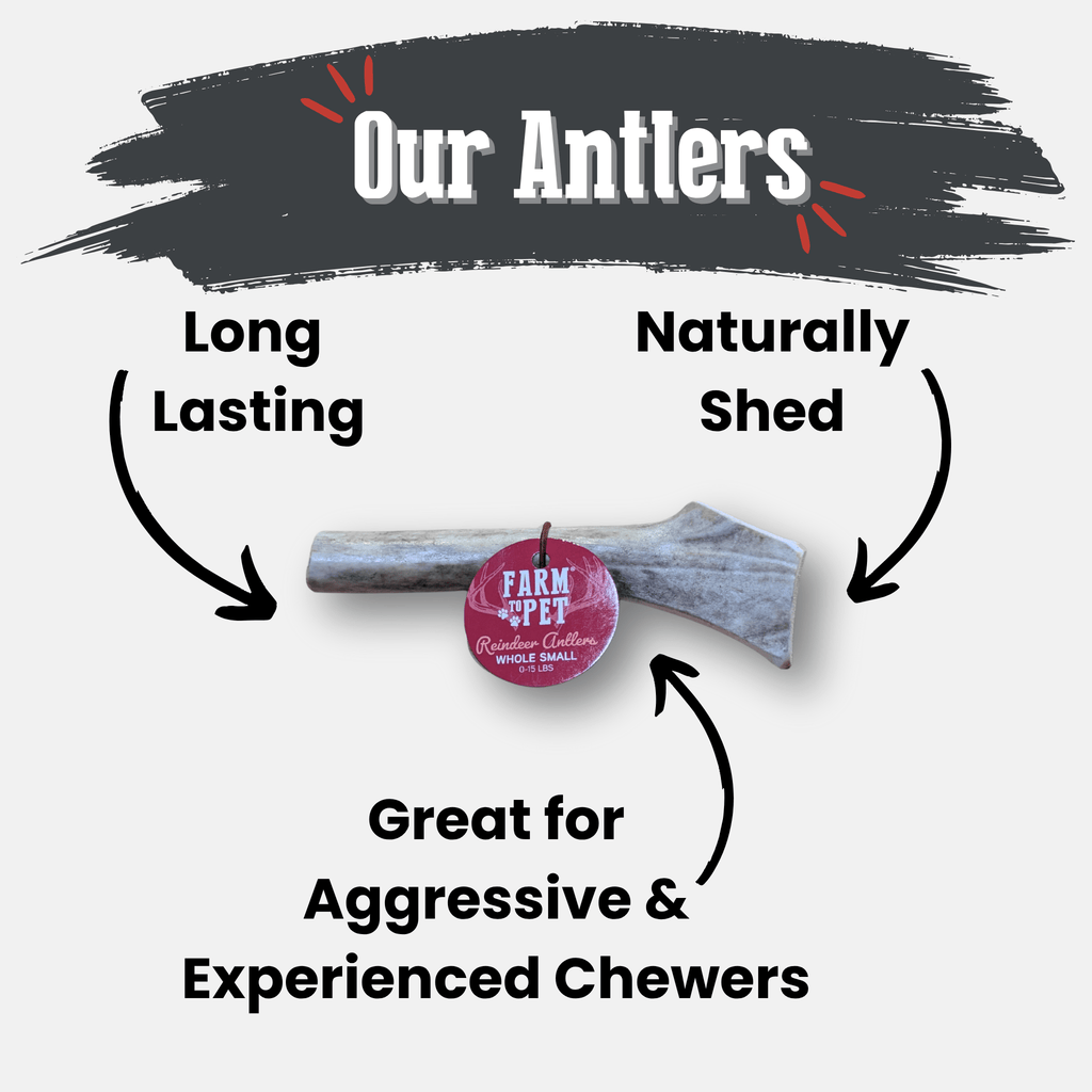 Reindeer Antler Dog Chews | Organic Chews for Dogs - Elite Pet Collective