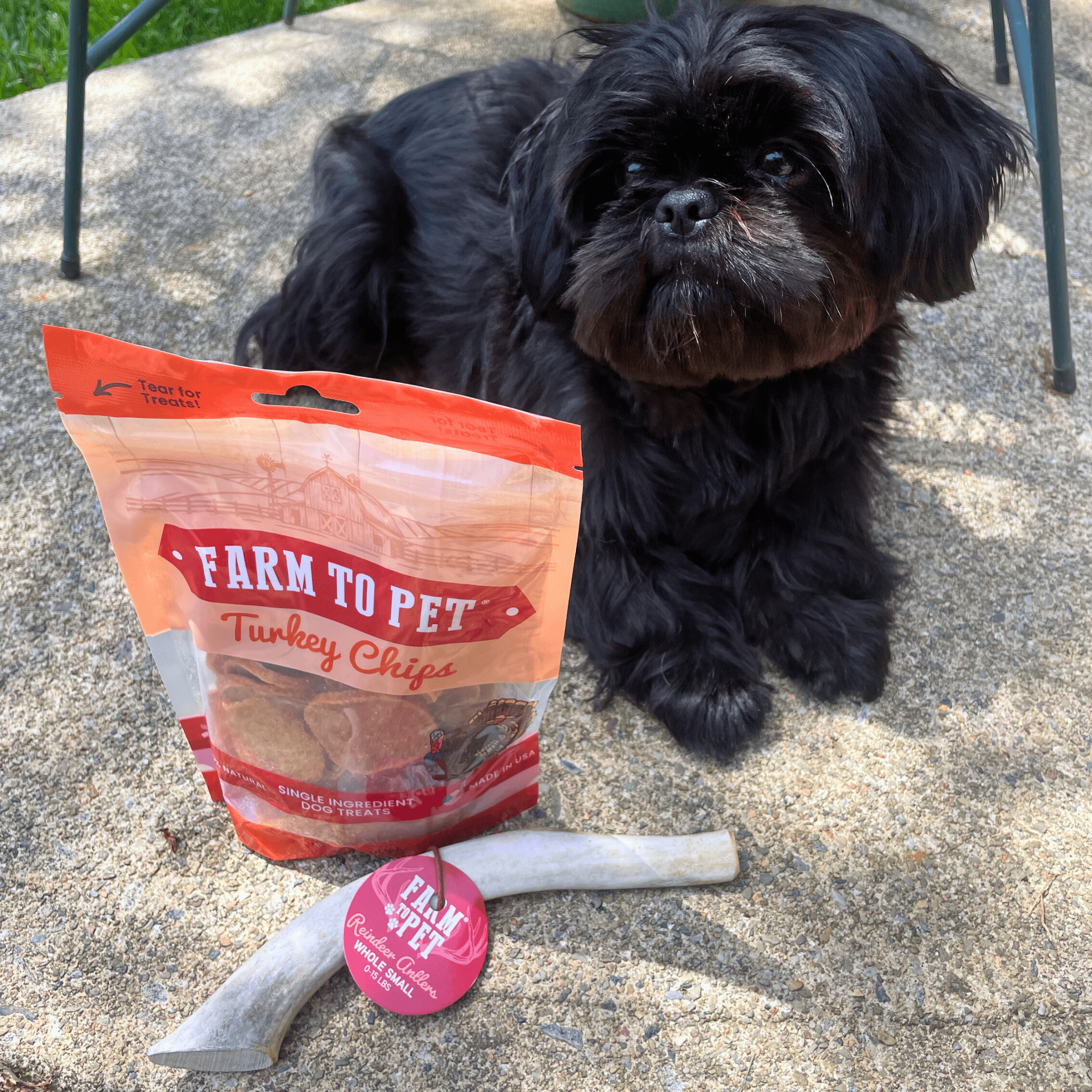 Reindeer Antler Dog Chews | Organic Chews for Dogs - Elite Pet Collective