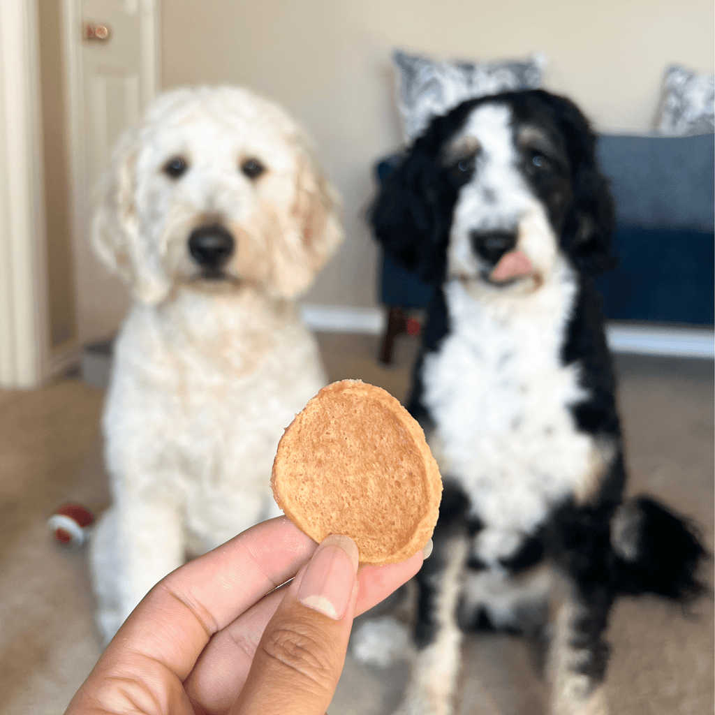 Chicken Chips for Dogs | All-Natural Single-Ingredient Dog Treats - Elite Pet Collective