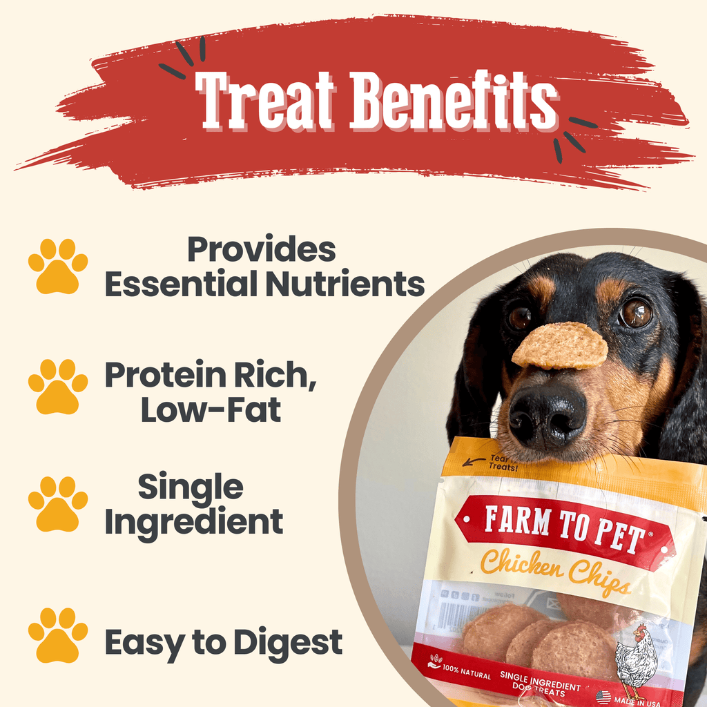 Chicken Chips Snack Pack Bundles | Dog Party Favors & Training Treats - Elite Pet Collective