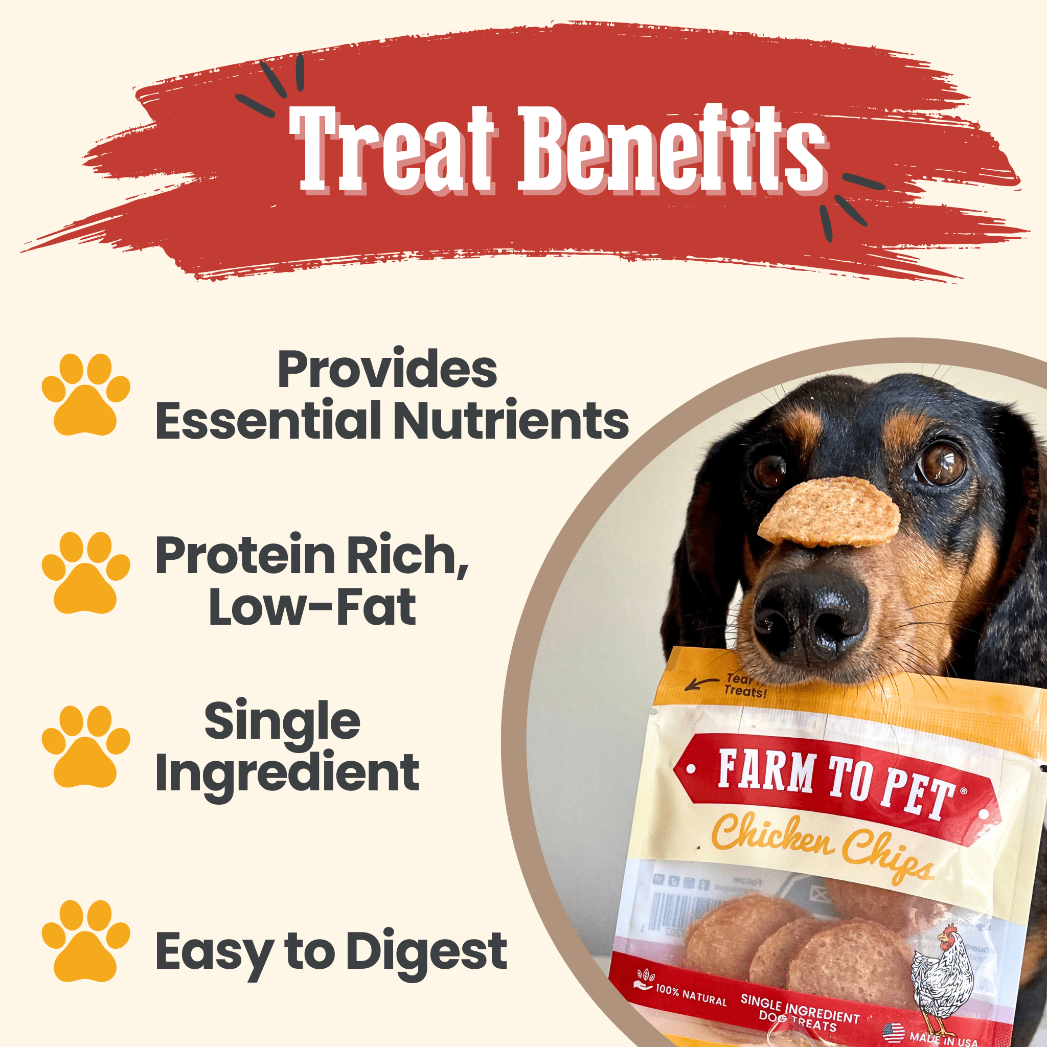 Chicken Chips Snack Pack Bundles | Dog Party Favors & Training Treats - Elite Pet Collective