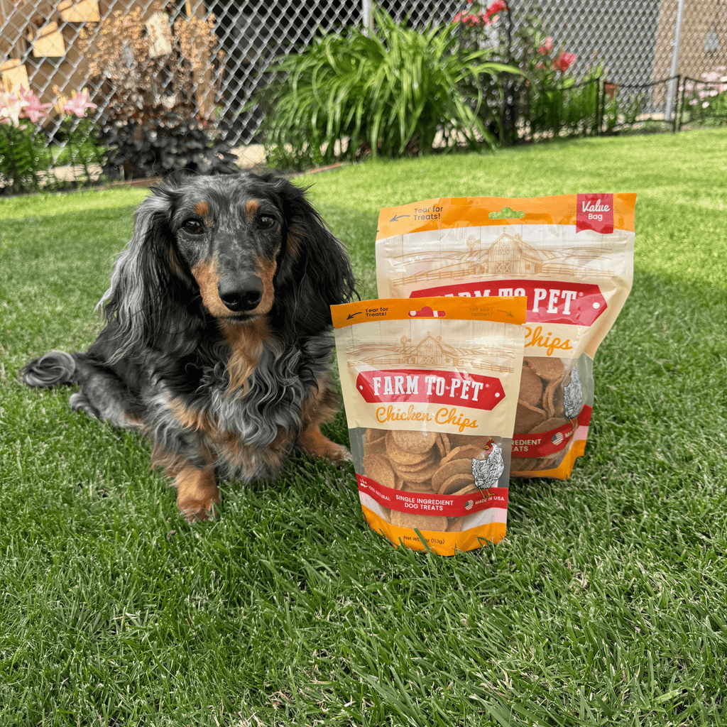 Chicken Chips for Dogs | All-Natural Single-Ingredient Dog Treats - Elite Pet Collective