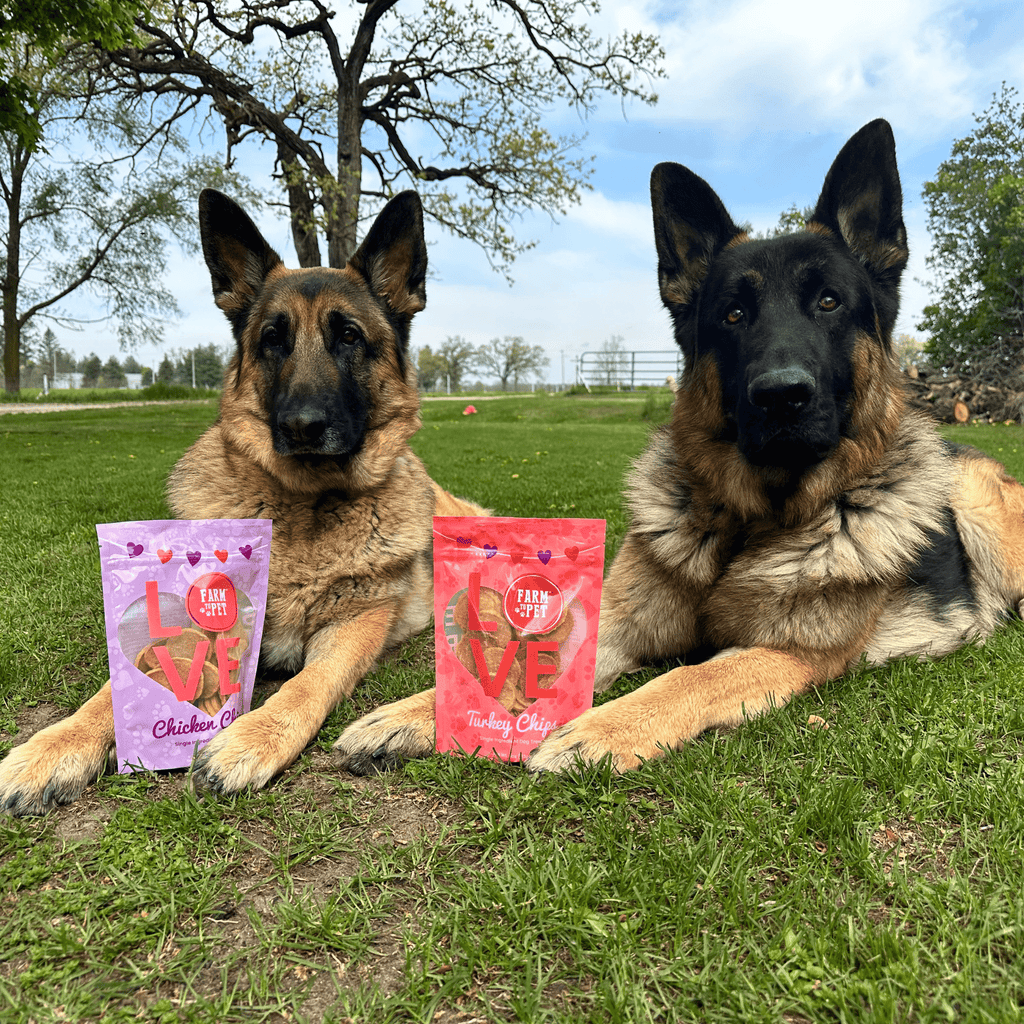 Puppy Love Dog Treat Duo | Poultry Chip Variety Pack - Elite Pet Collective