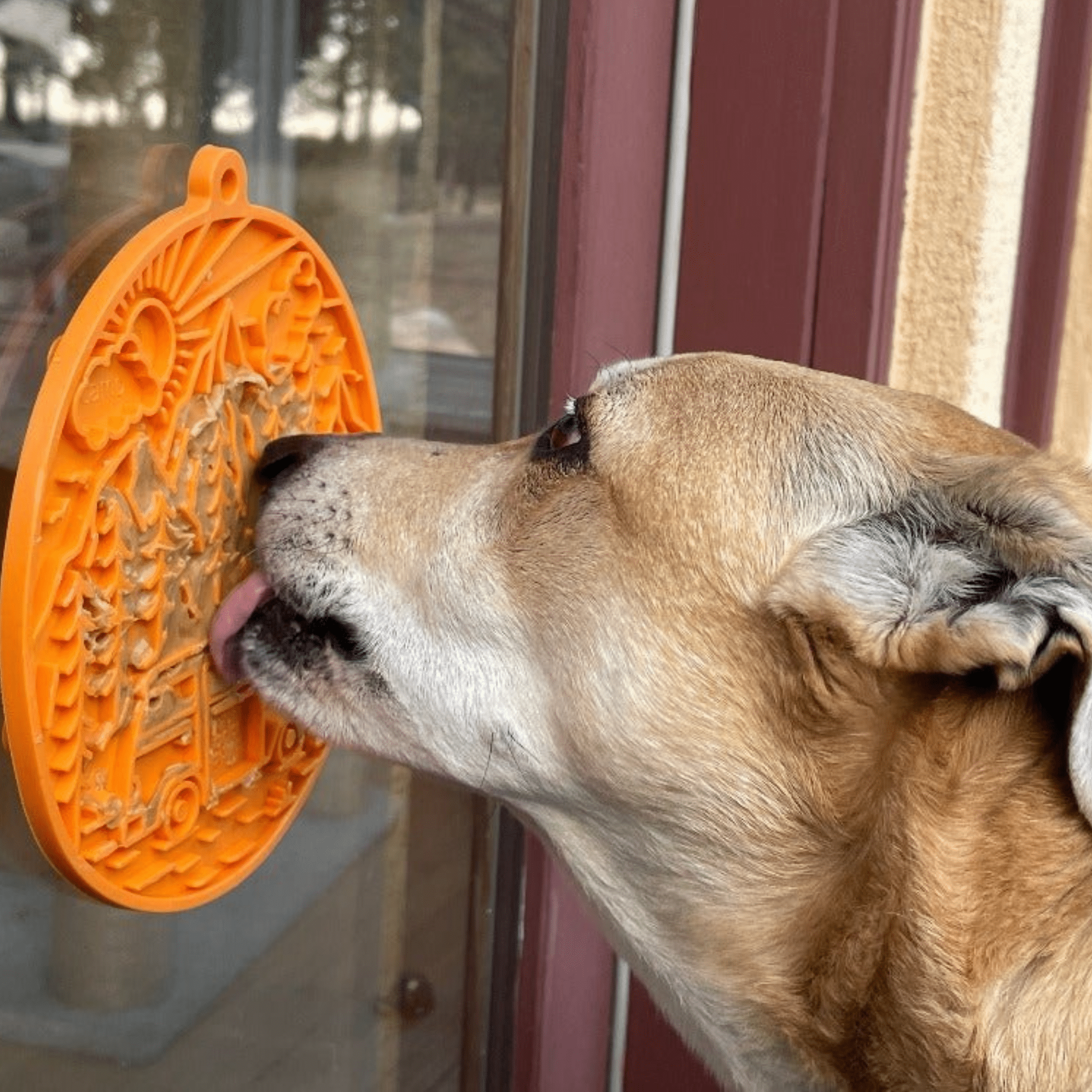 Dog Lick Mats with Suction Cups - Elite Pet Collective