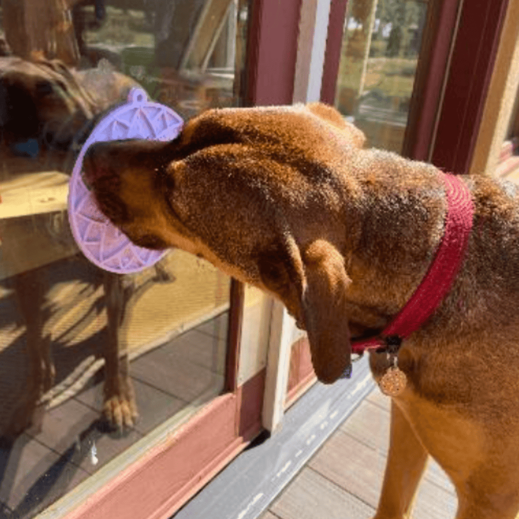 Dog Lick Mats with Suction Cups - Elite Pet Collective