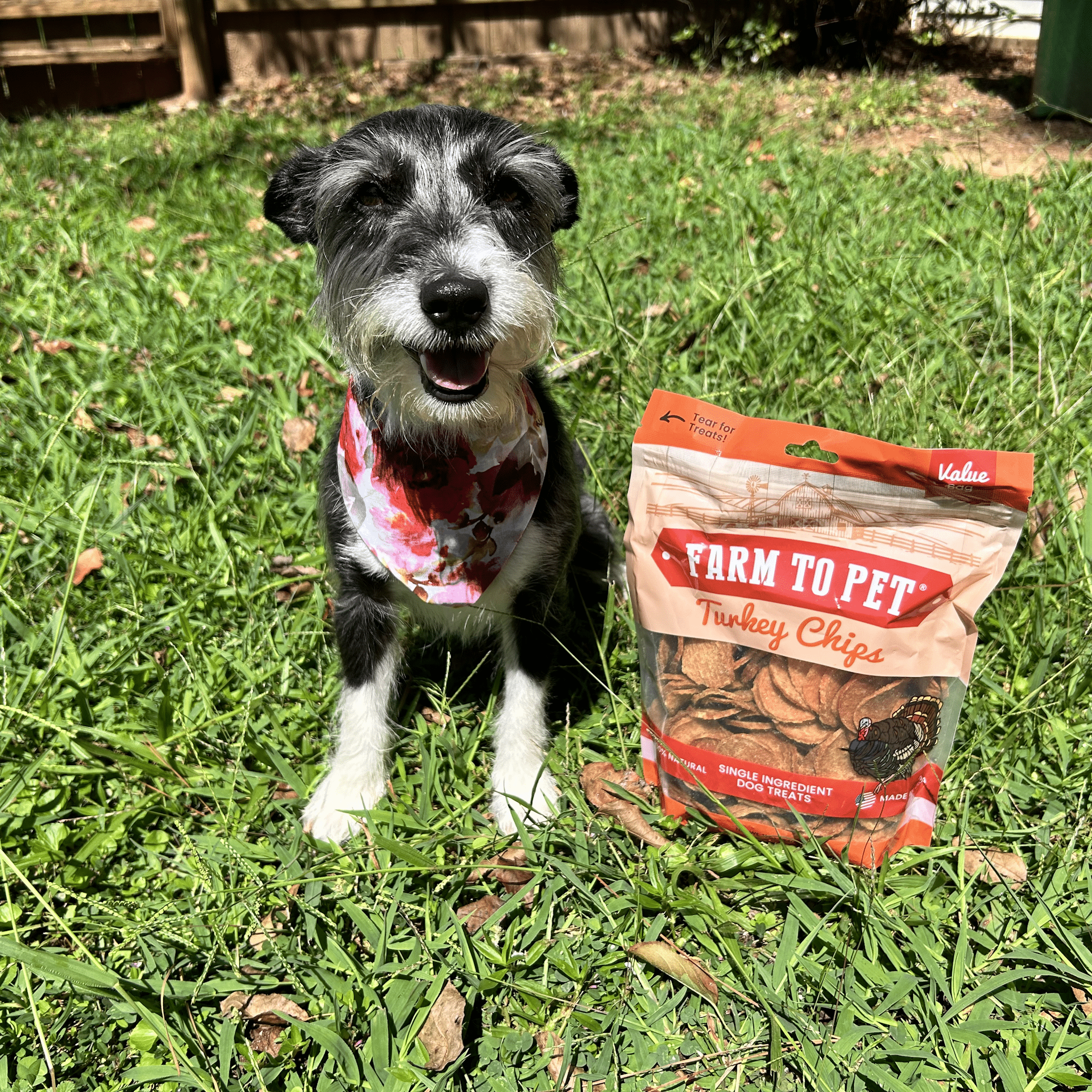 Turkey Chips for Dogs | All-Natural Single-Ingredient Healthy Dog Treats - Elite Pet Collective