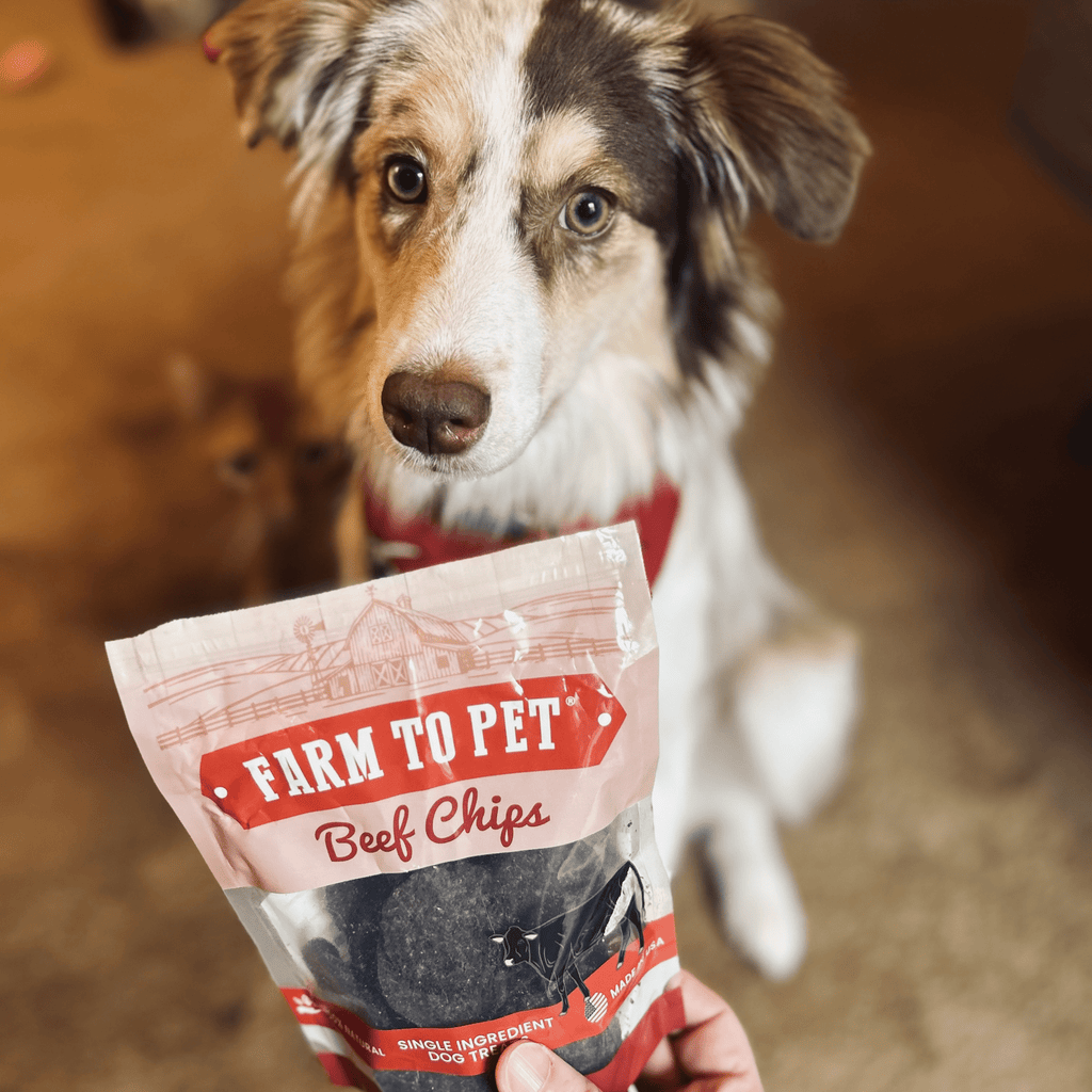 Puppy Packs 'n Snacks Dog Treat Starter Pack | Single-Ingredient Training Treats - Elite Pet Collective