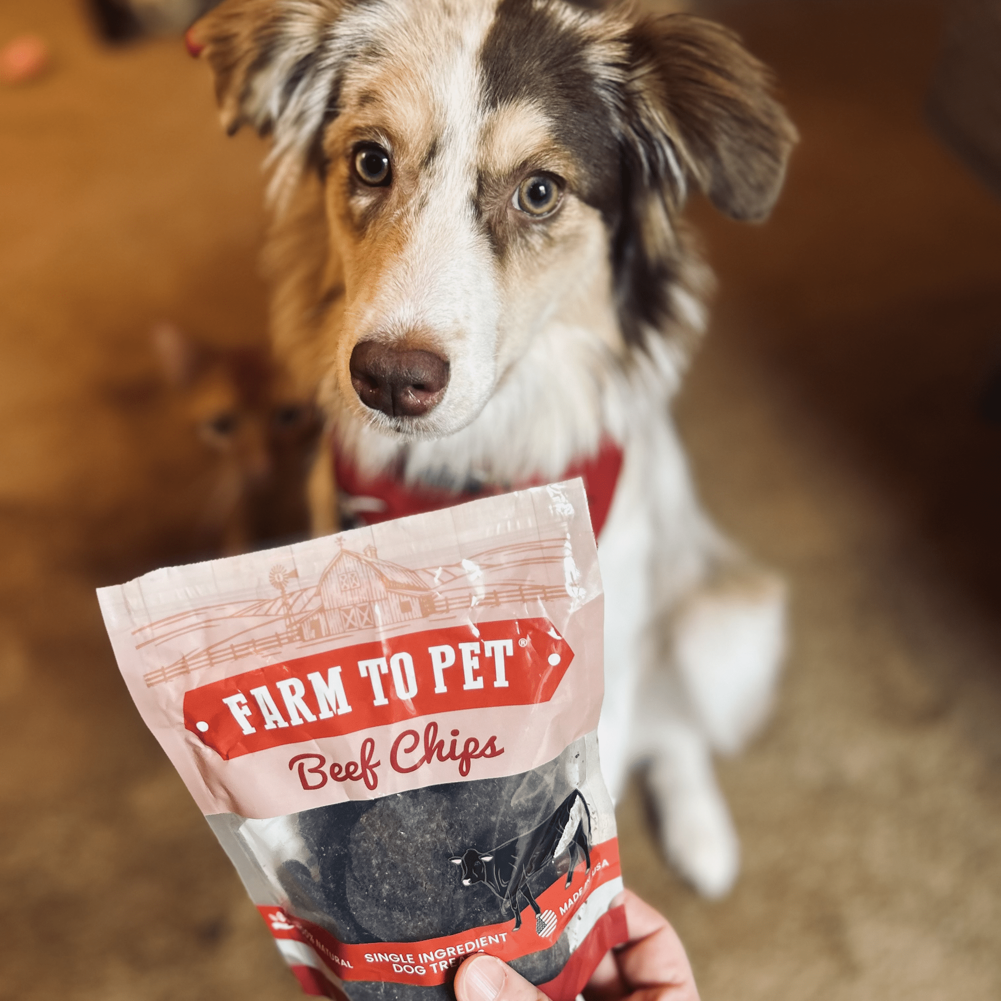 Puppy Packs 'n Snacks Dog Treat Starter Pack | Single-Ingredient Training Treats - Elite Pet Collective